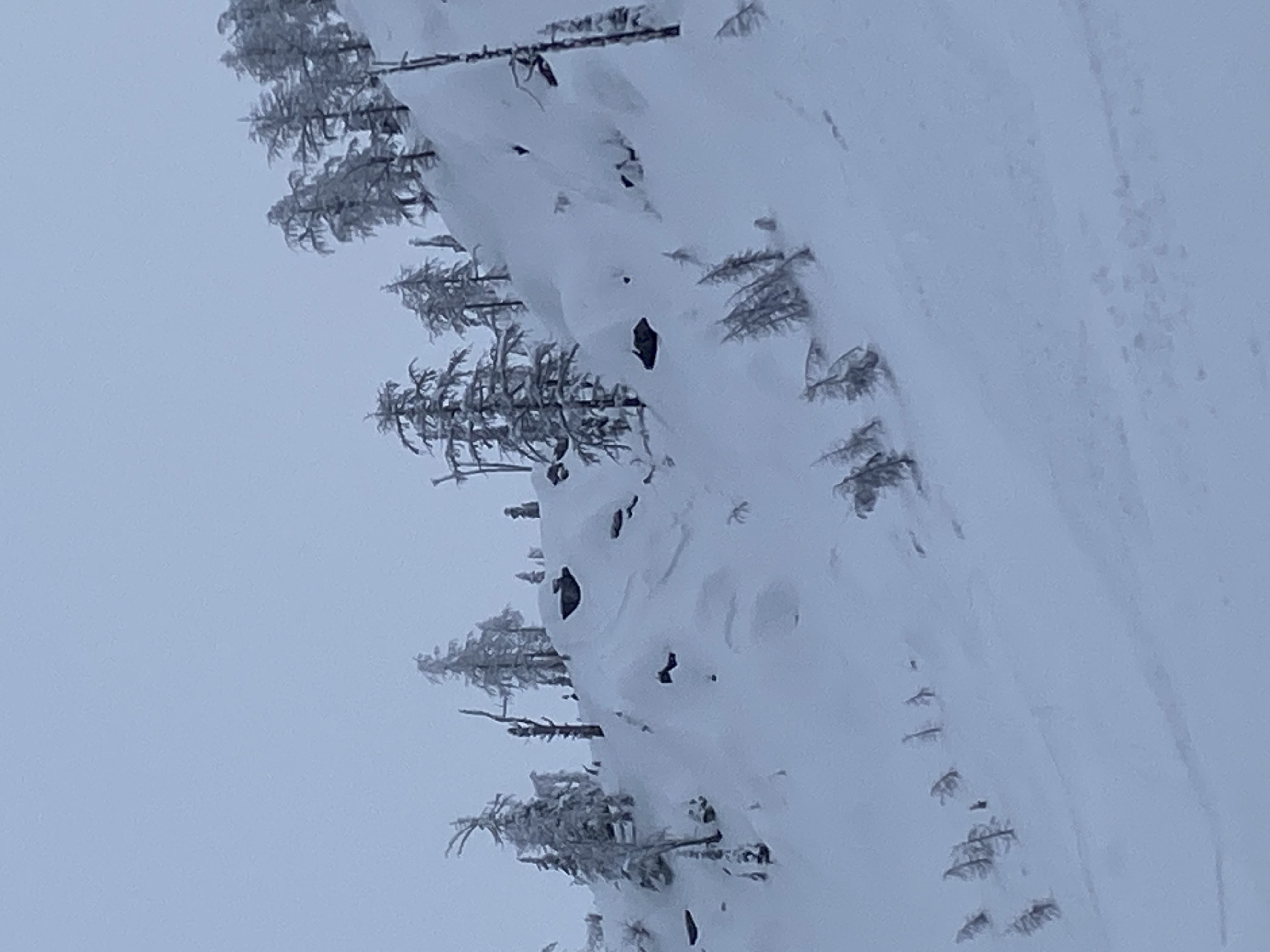 Observation photo