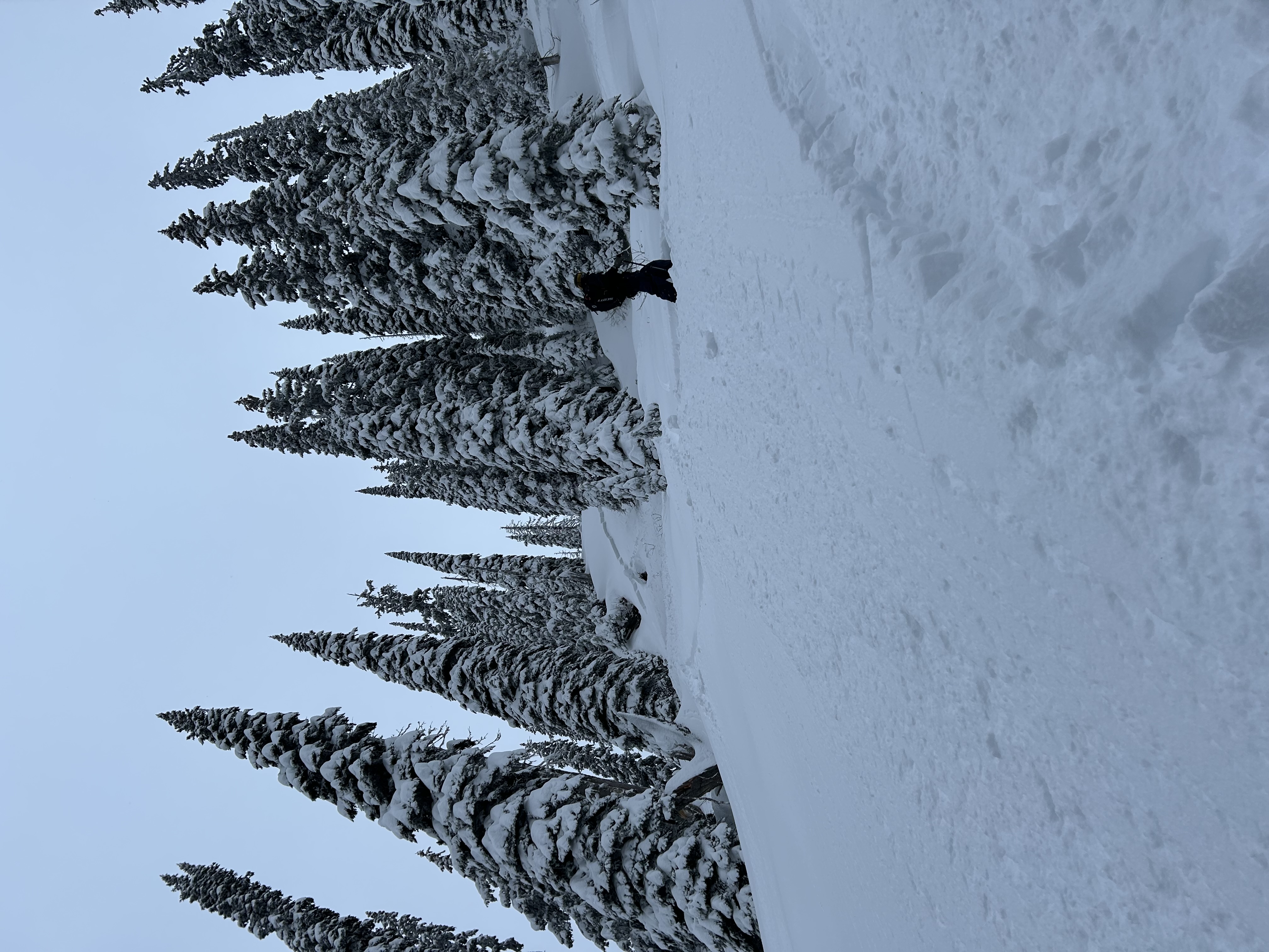 Observation photo