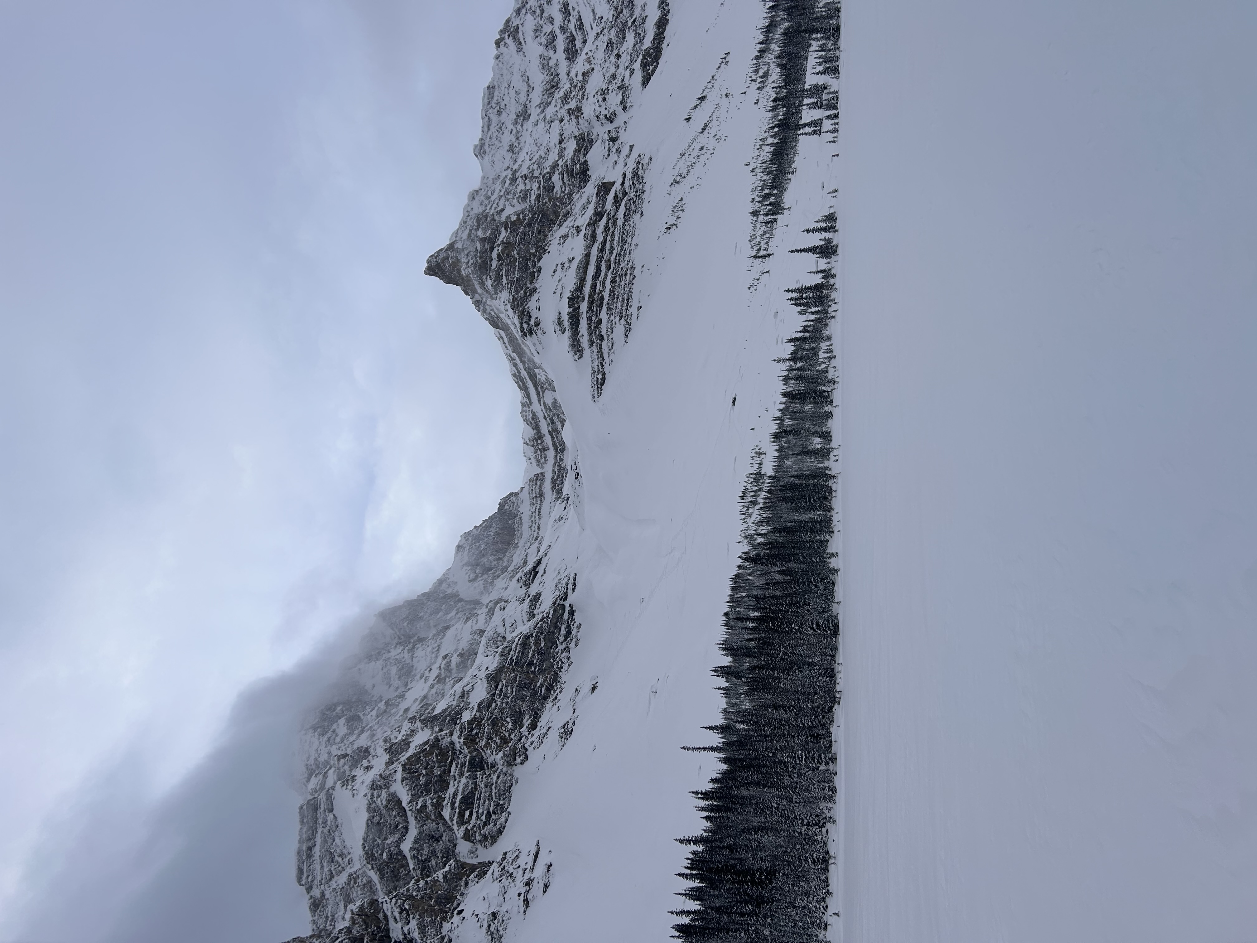 Observation photo