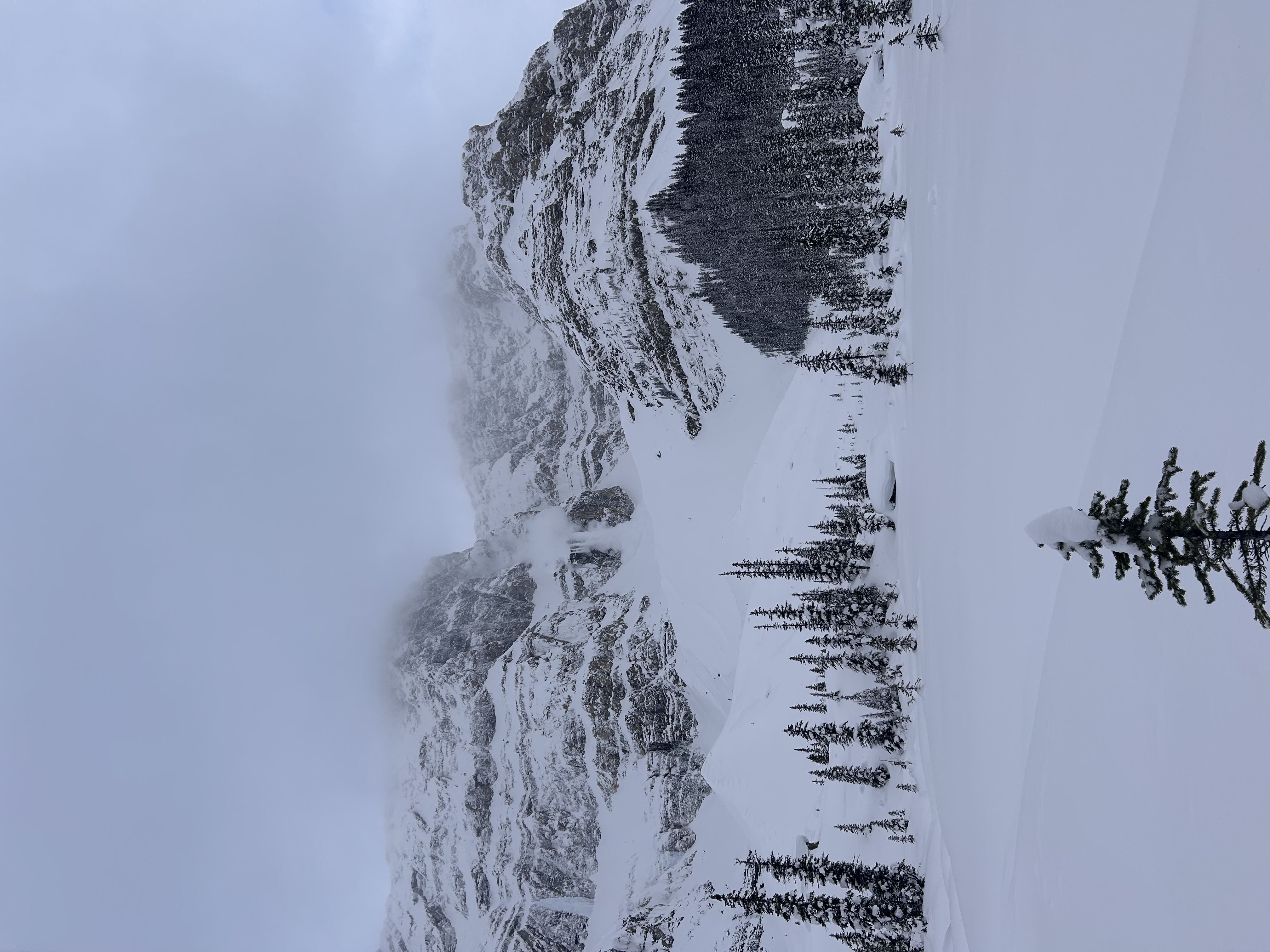 Observation photo