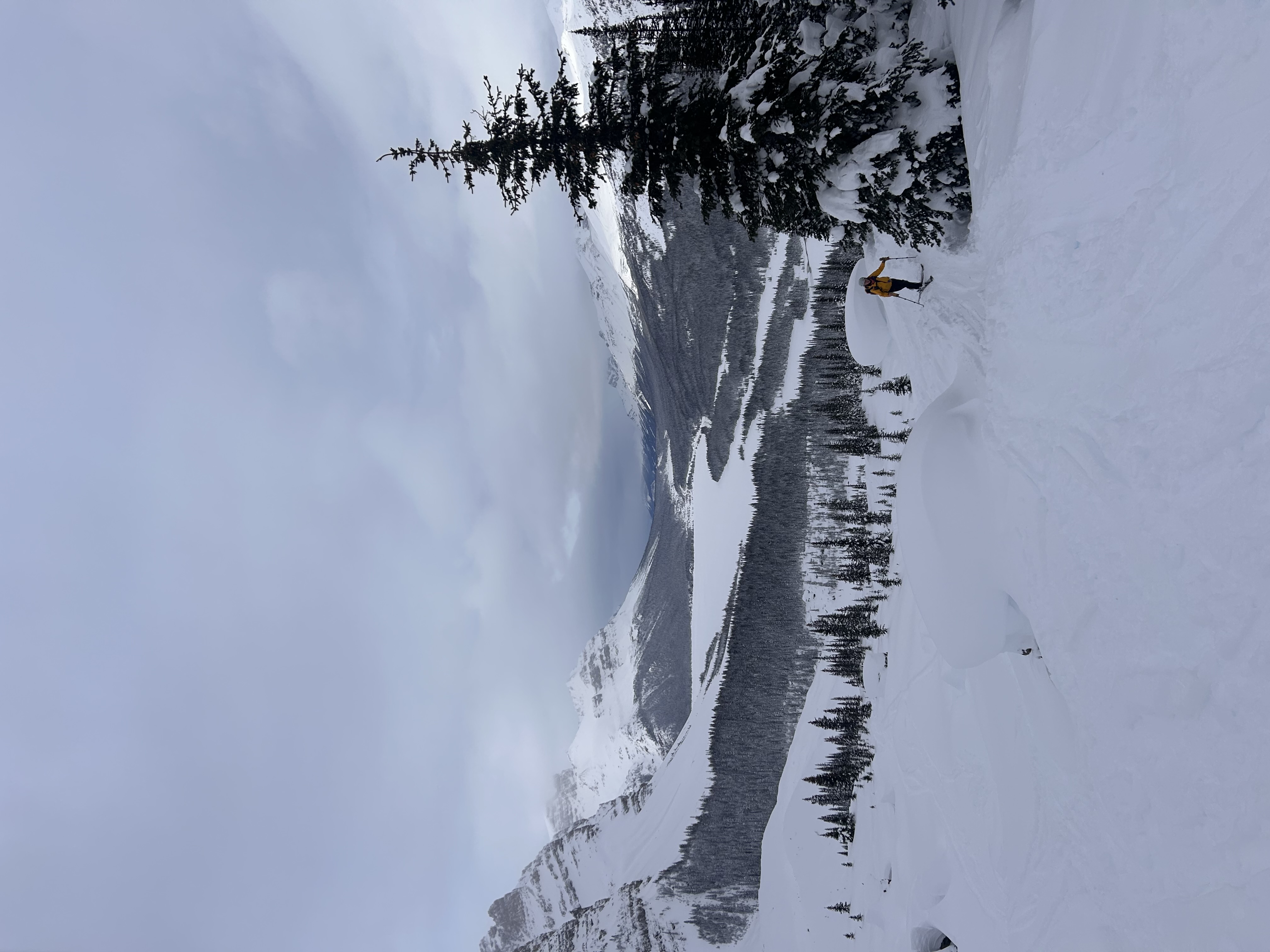 Observation photo