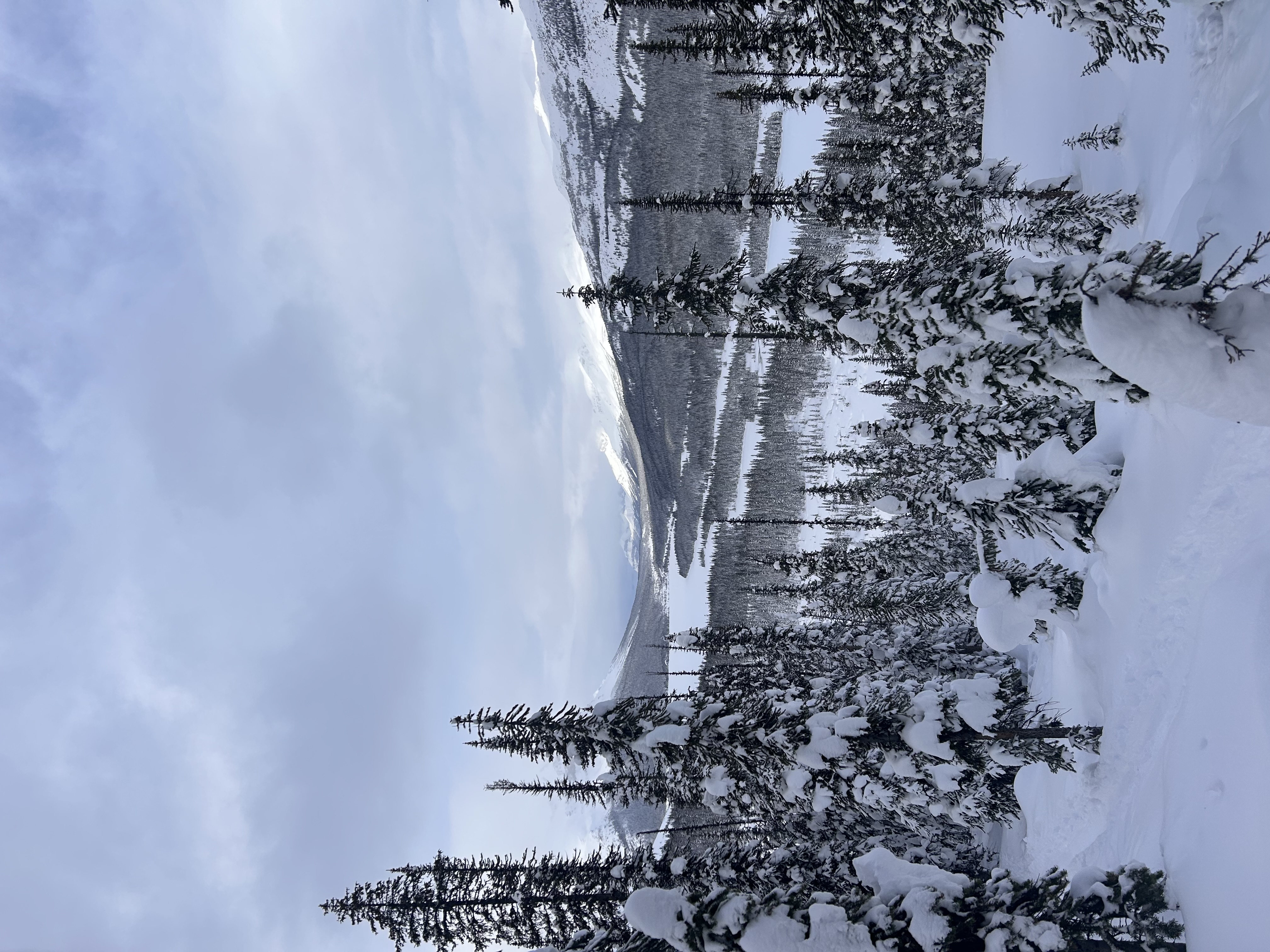 Observation photo