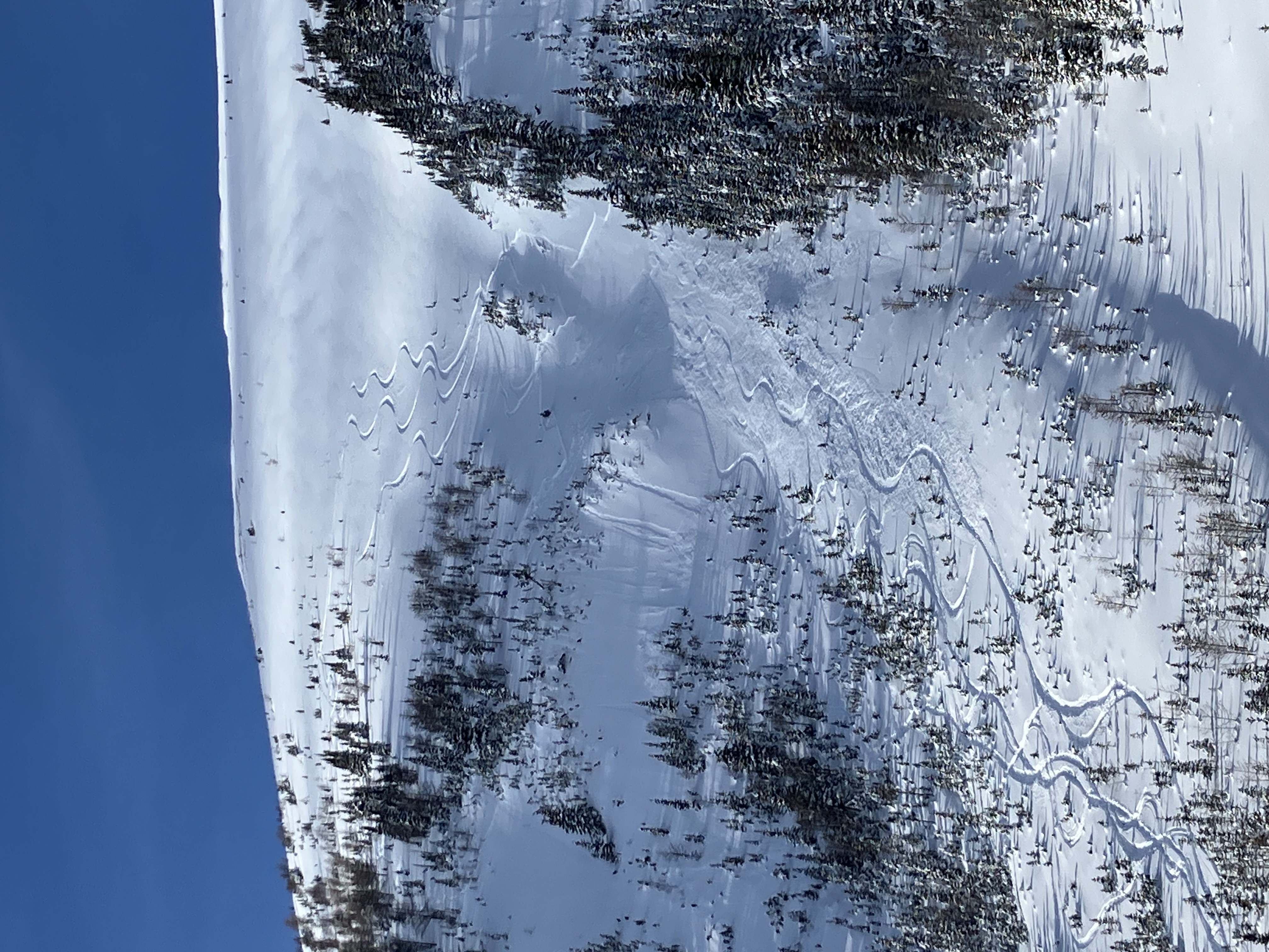 Observation photo