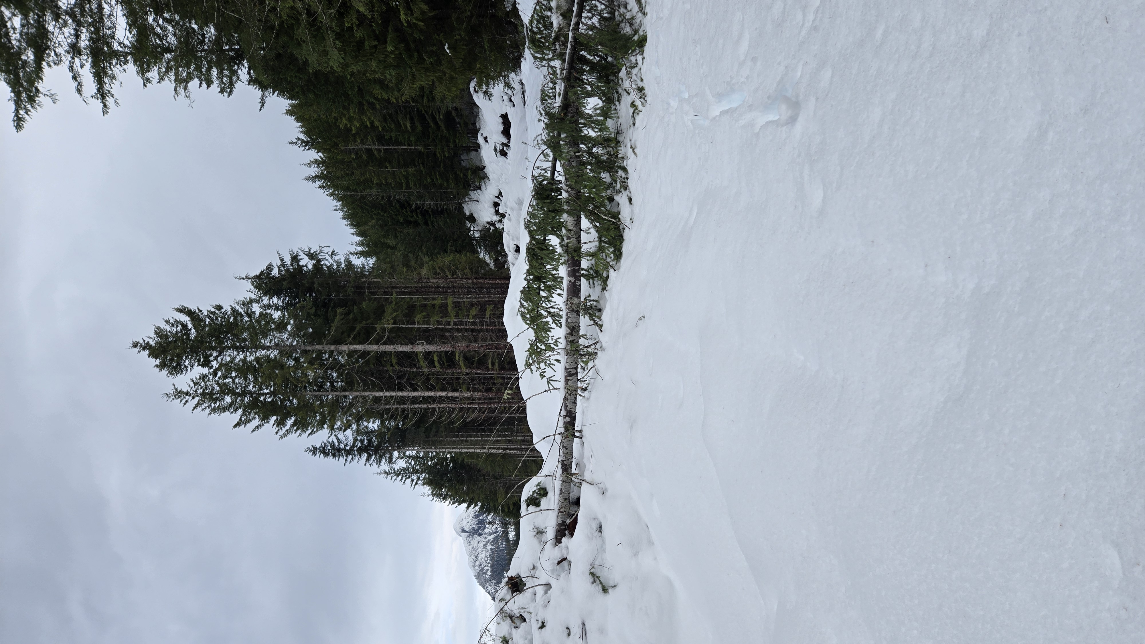 Observation photo