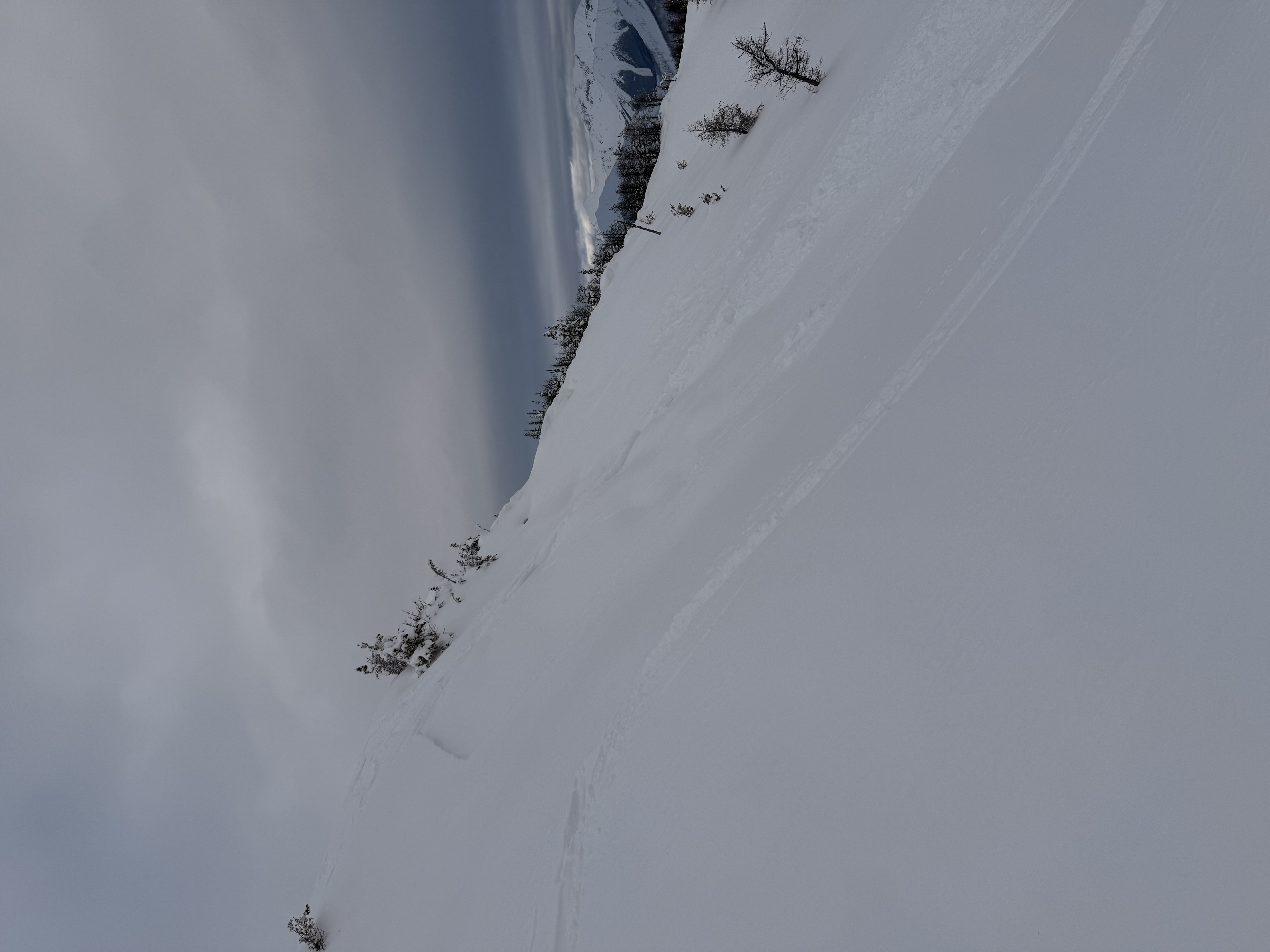 Observation photo