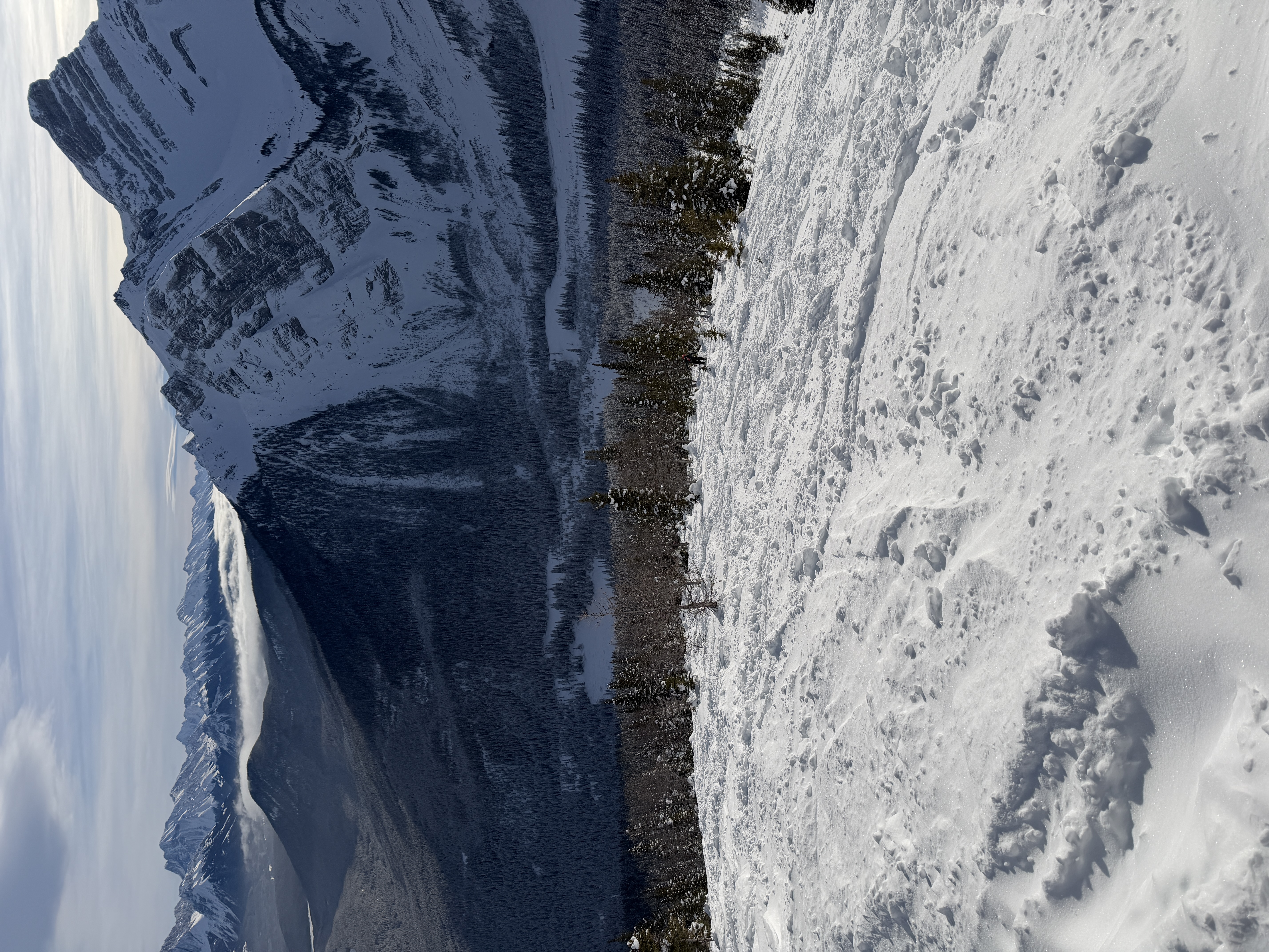 Observation photo