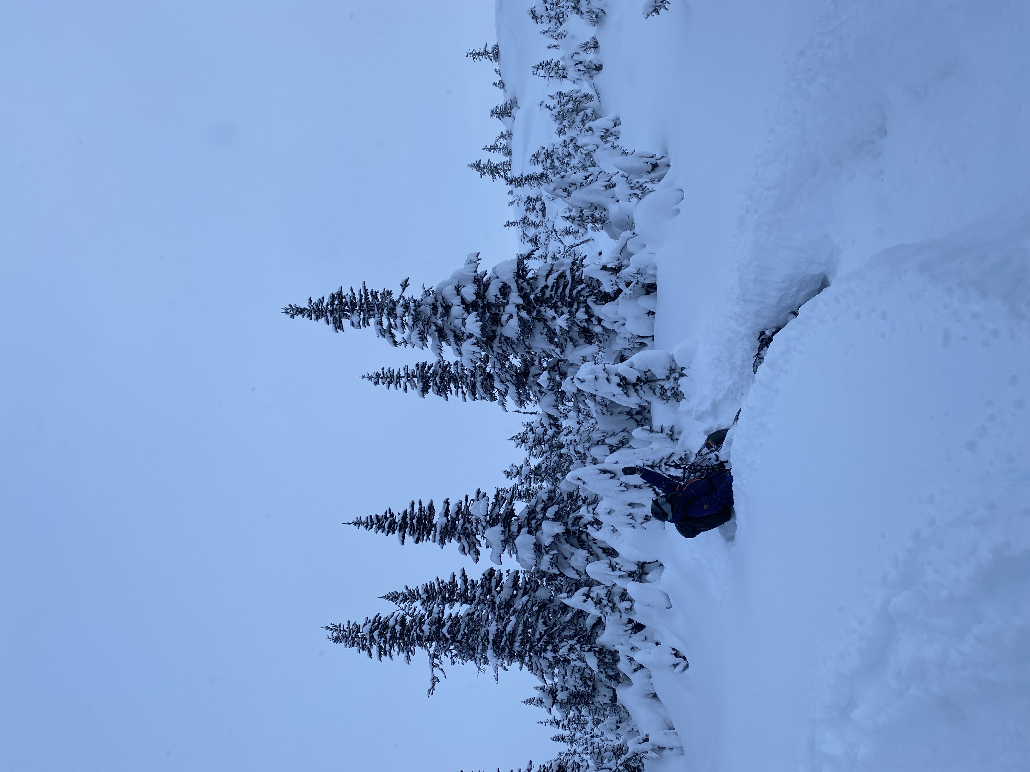 Observation photo
