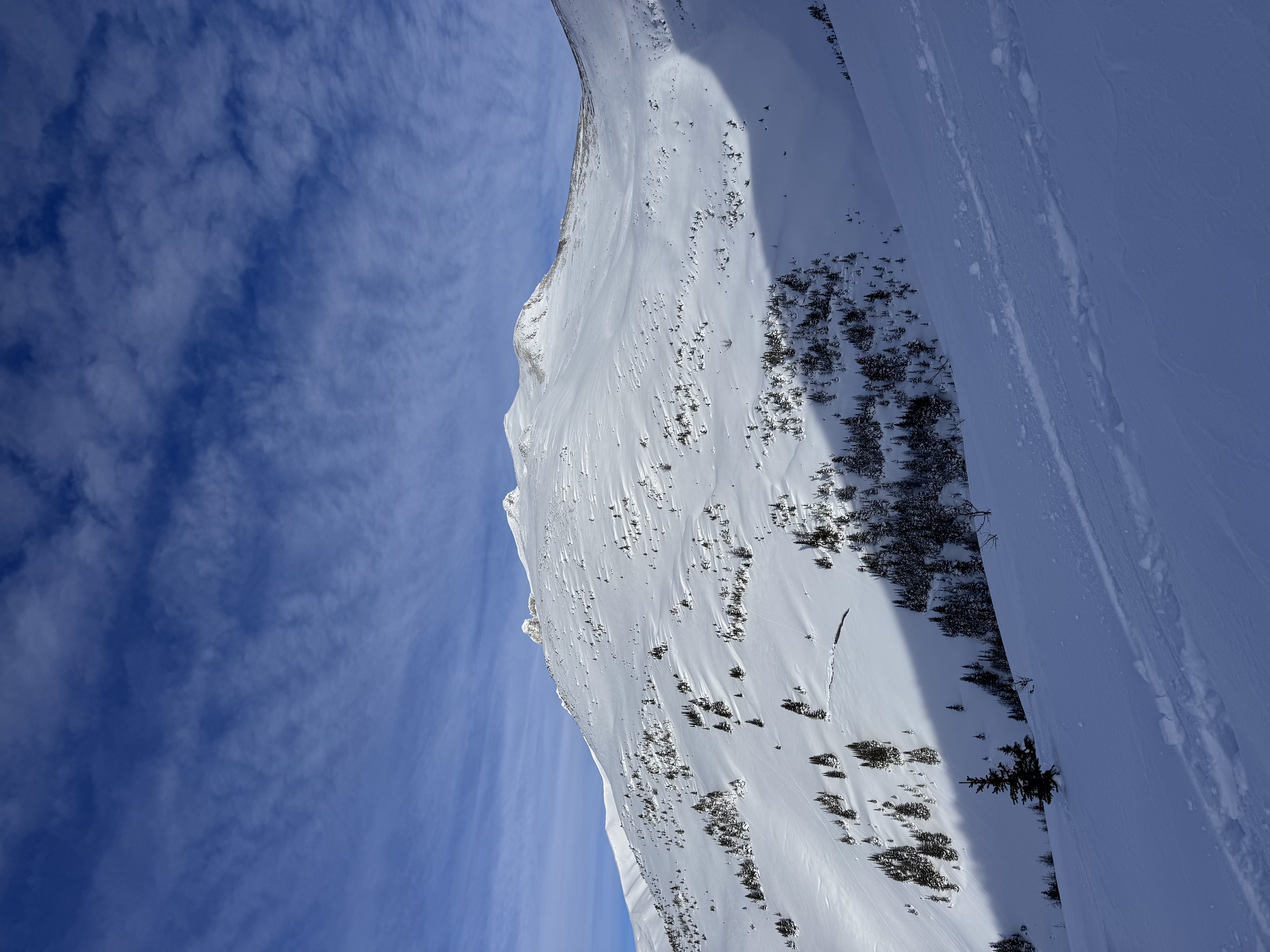 Observation photo