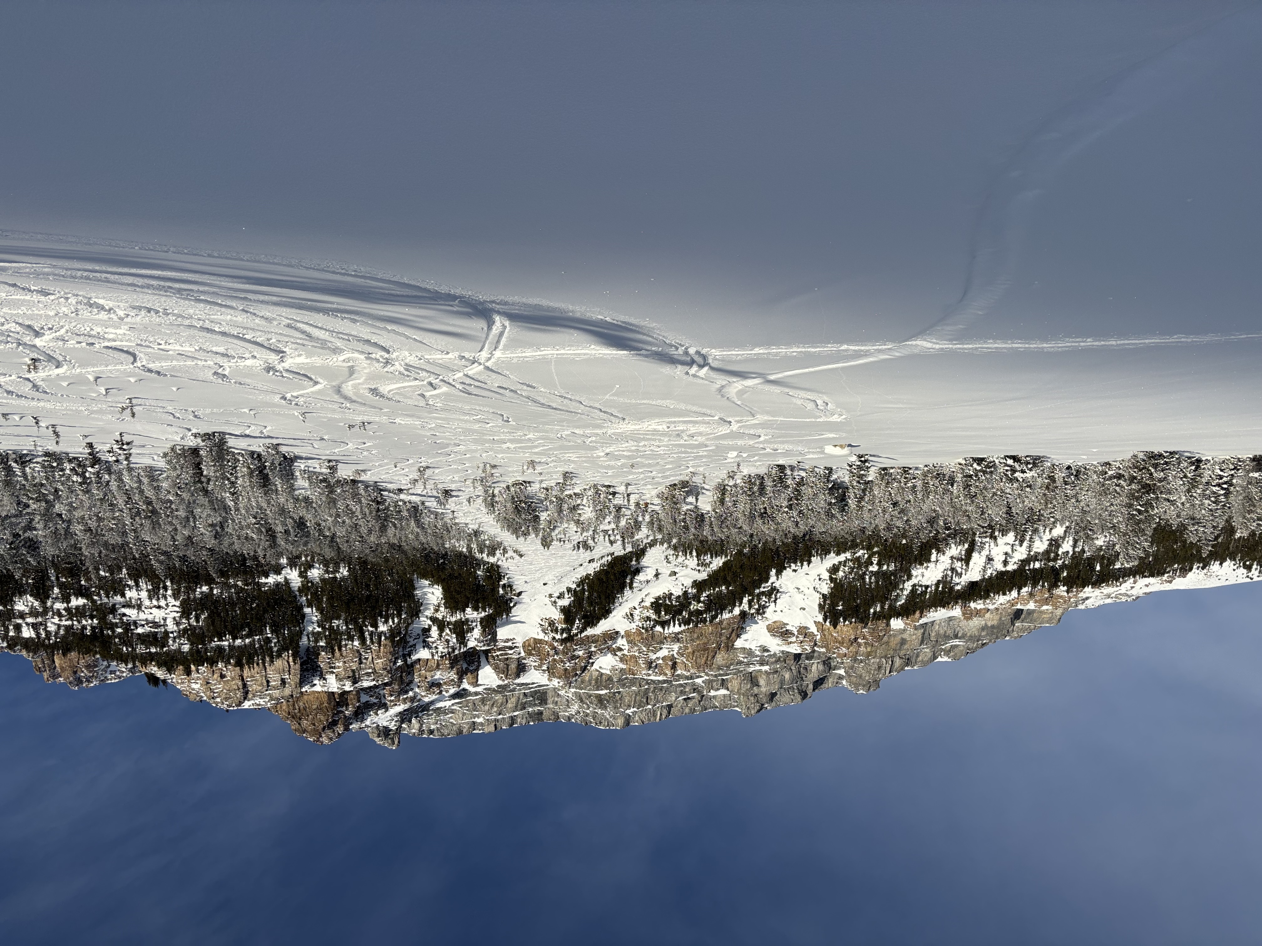 Observation photo