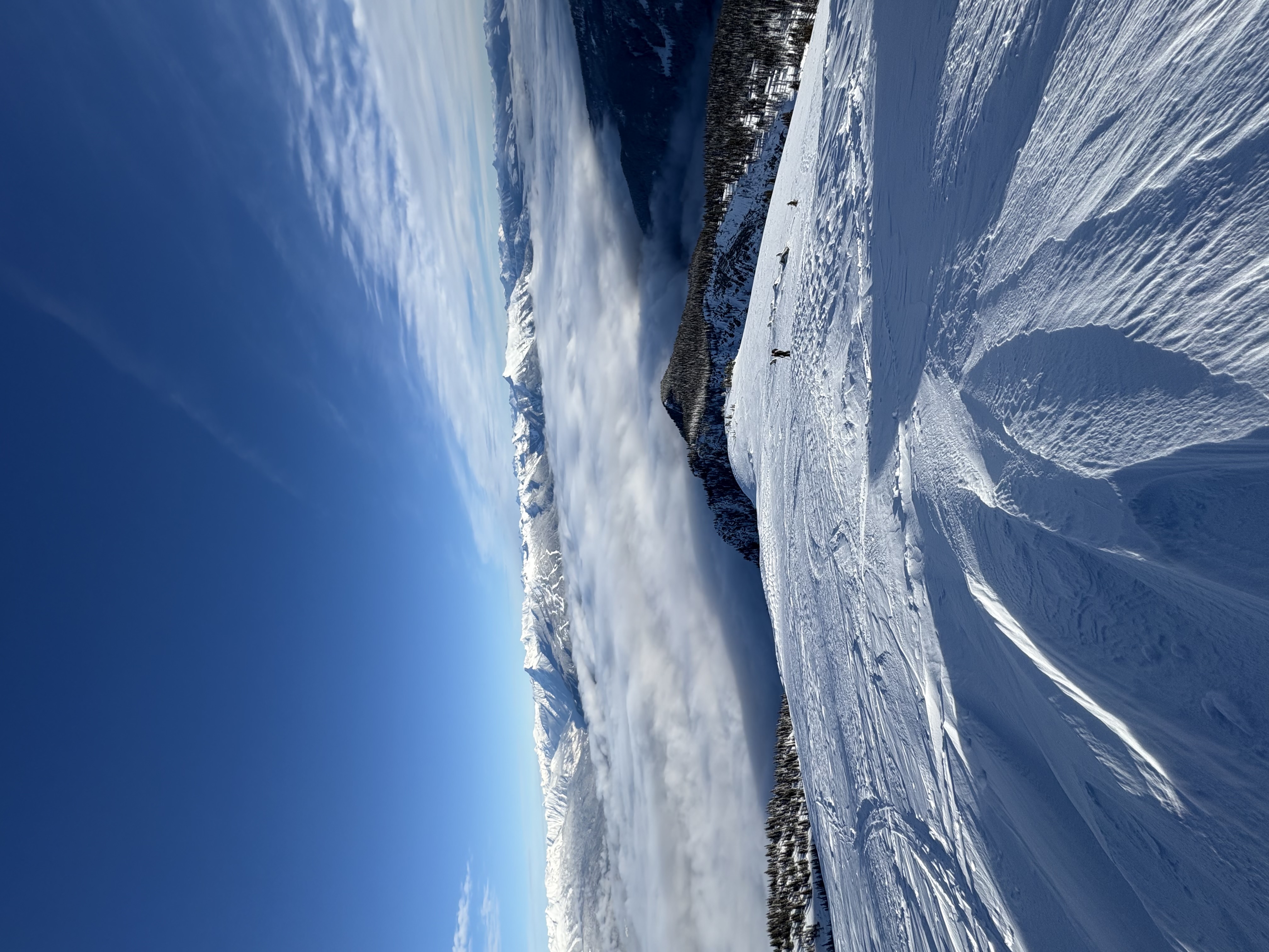 Observation photo