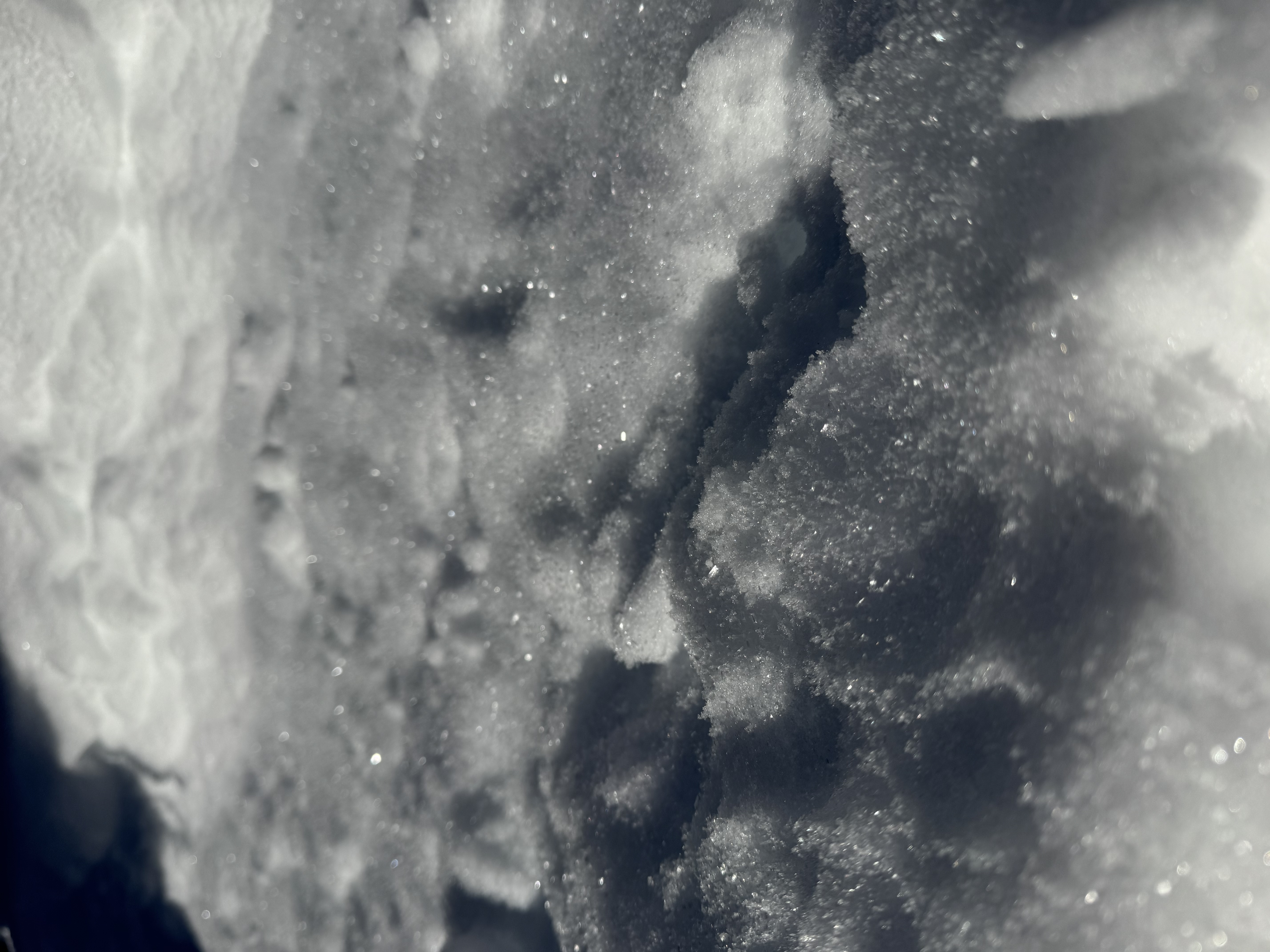 Observation photo