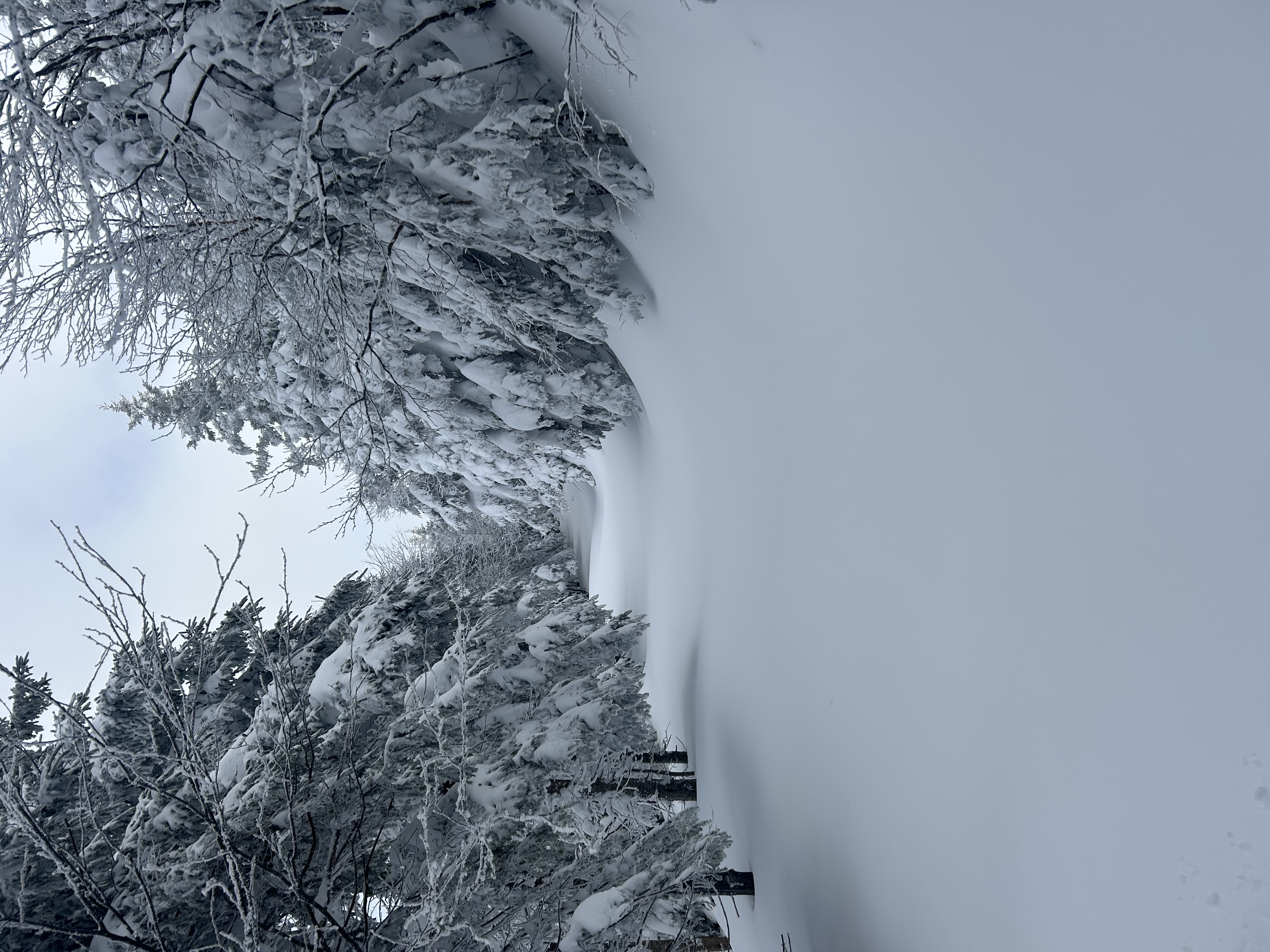 Observation photo