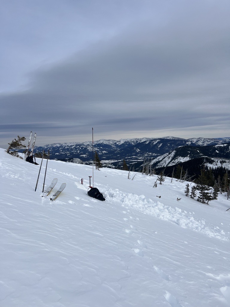 Observation photo