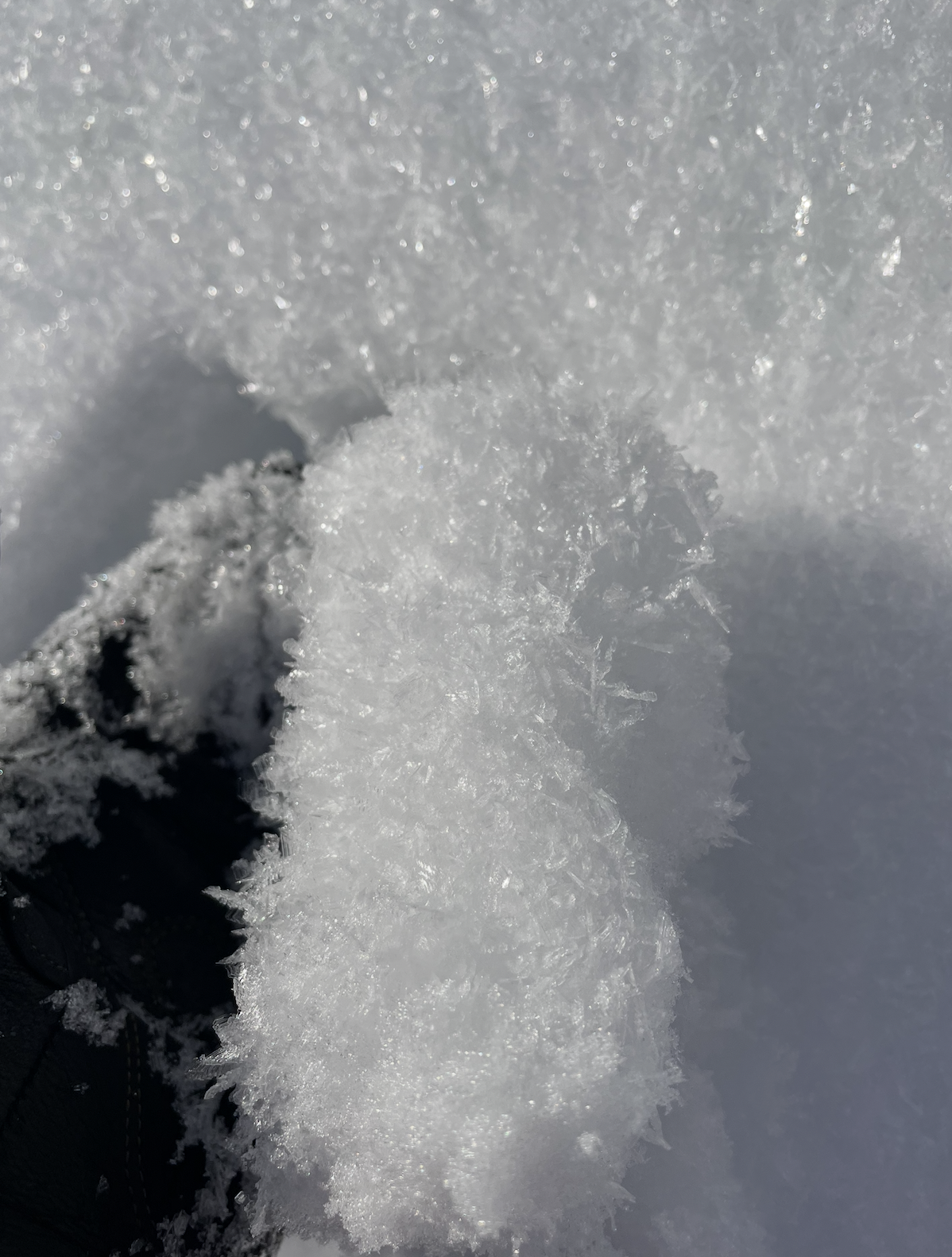 Observation photo