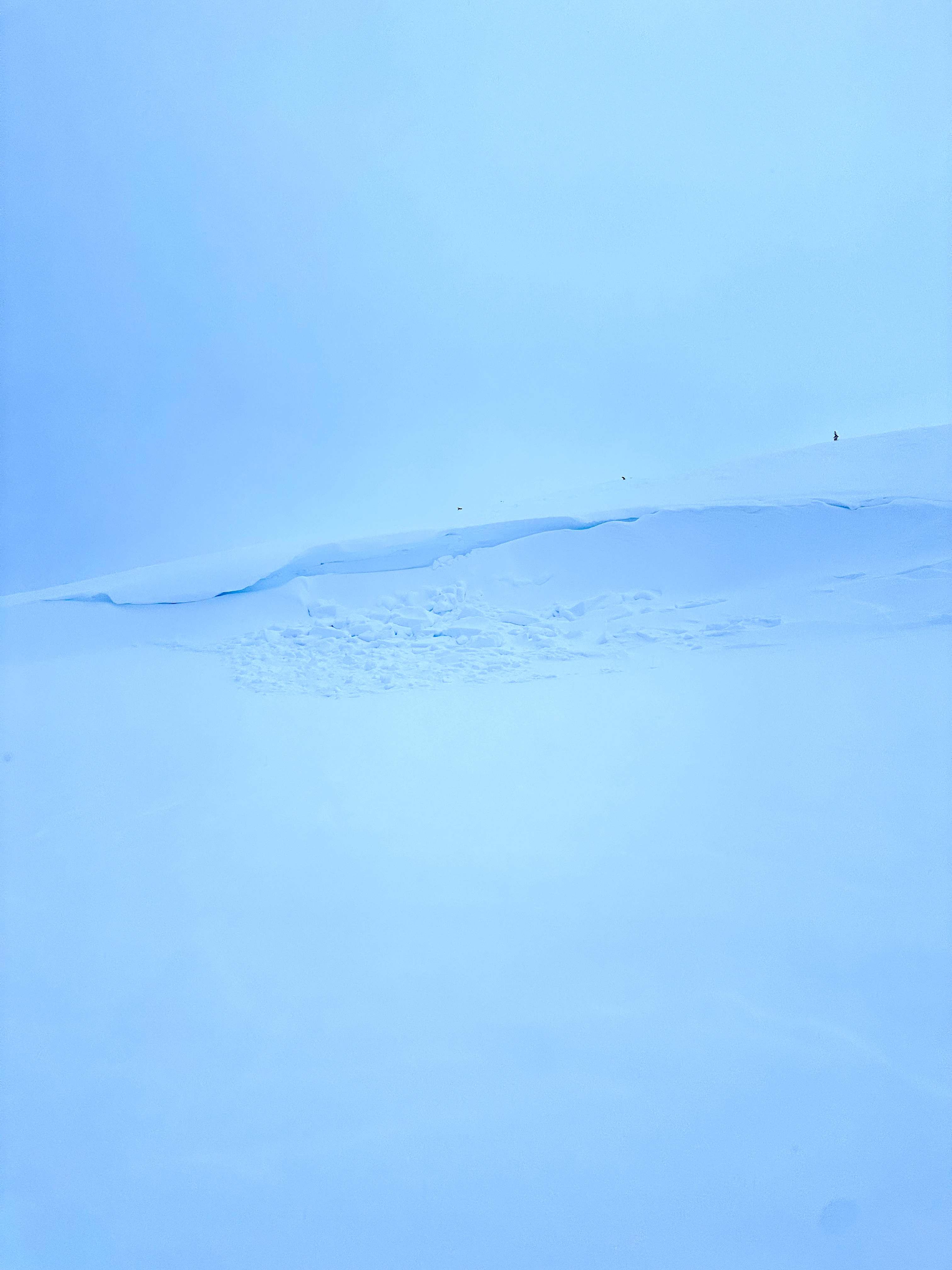 Observation photo