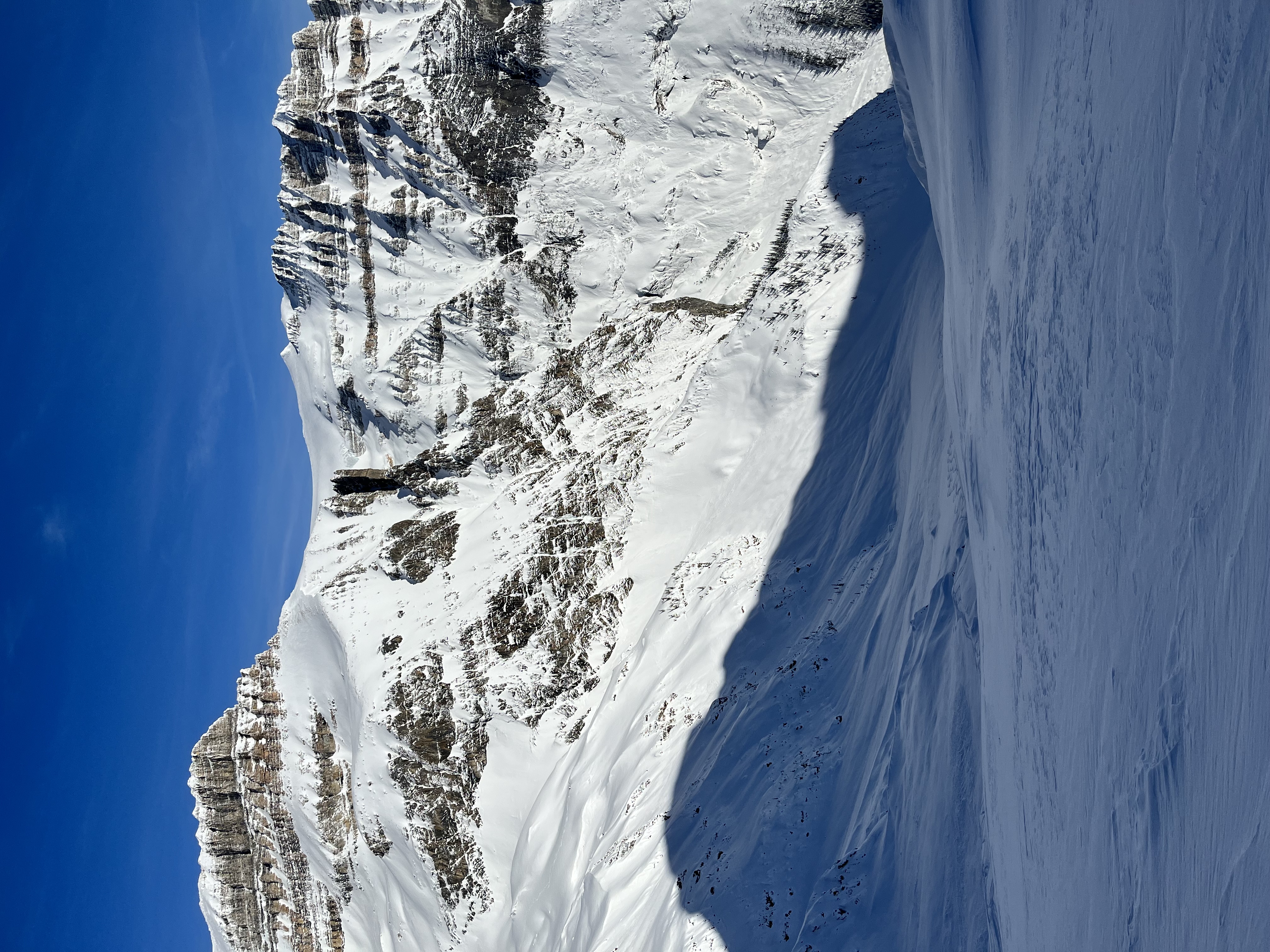 Observation photo