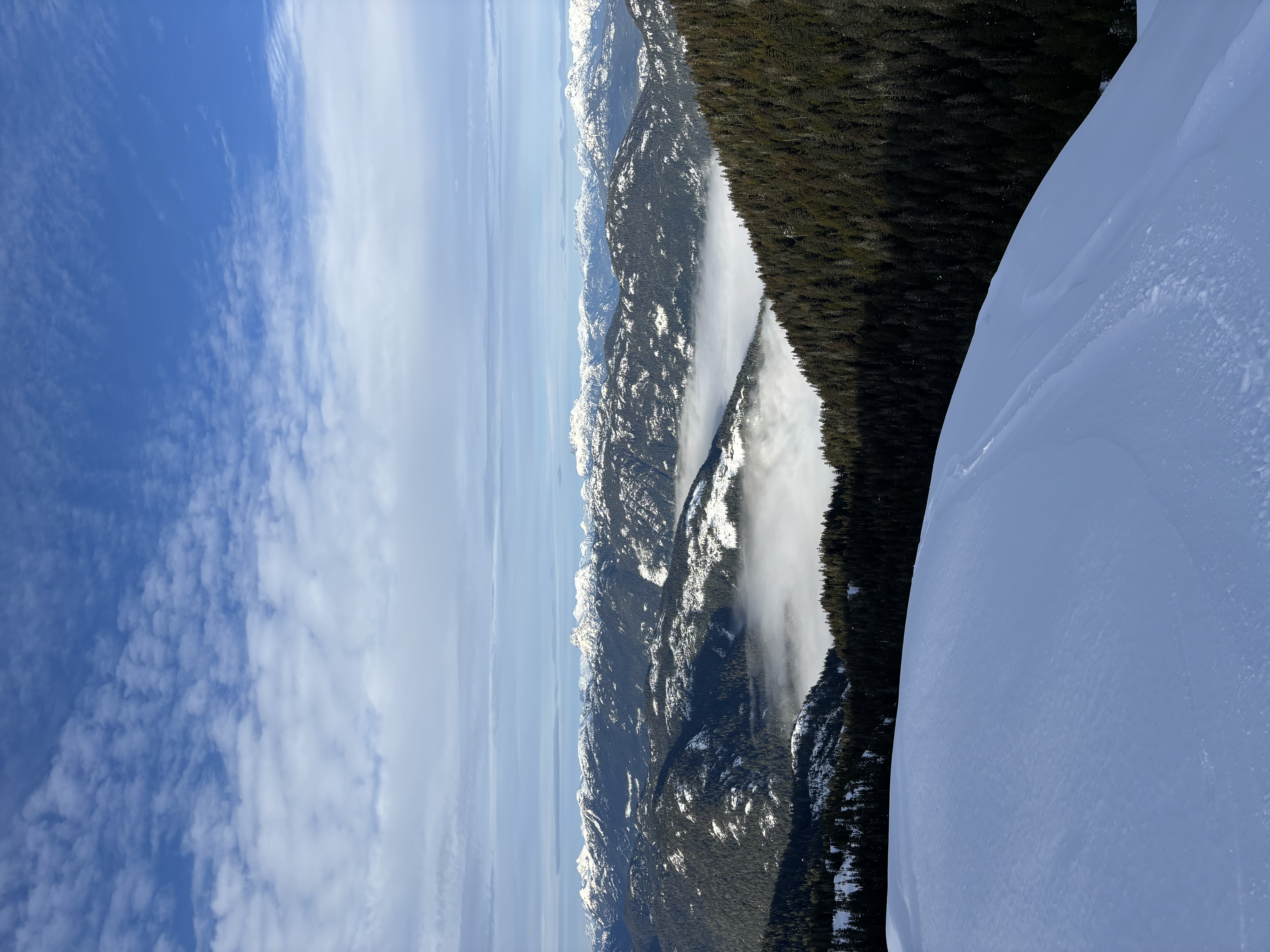 Observation photo