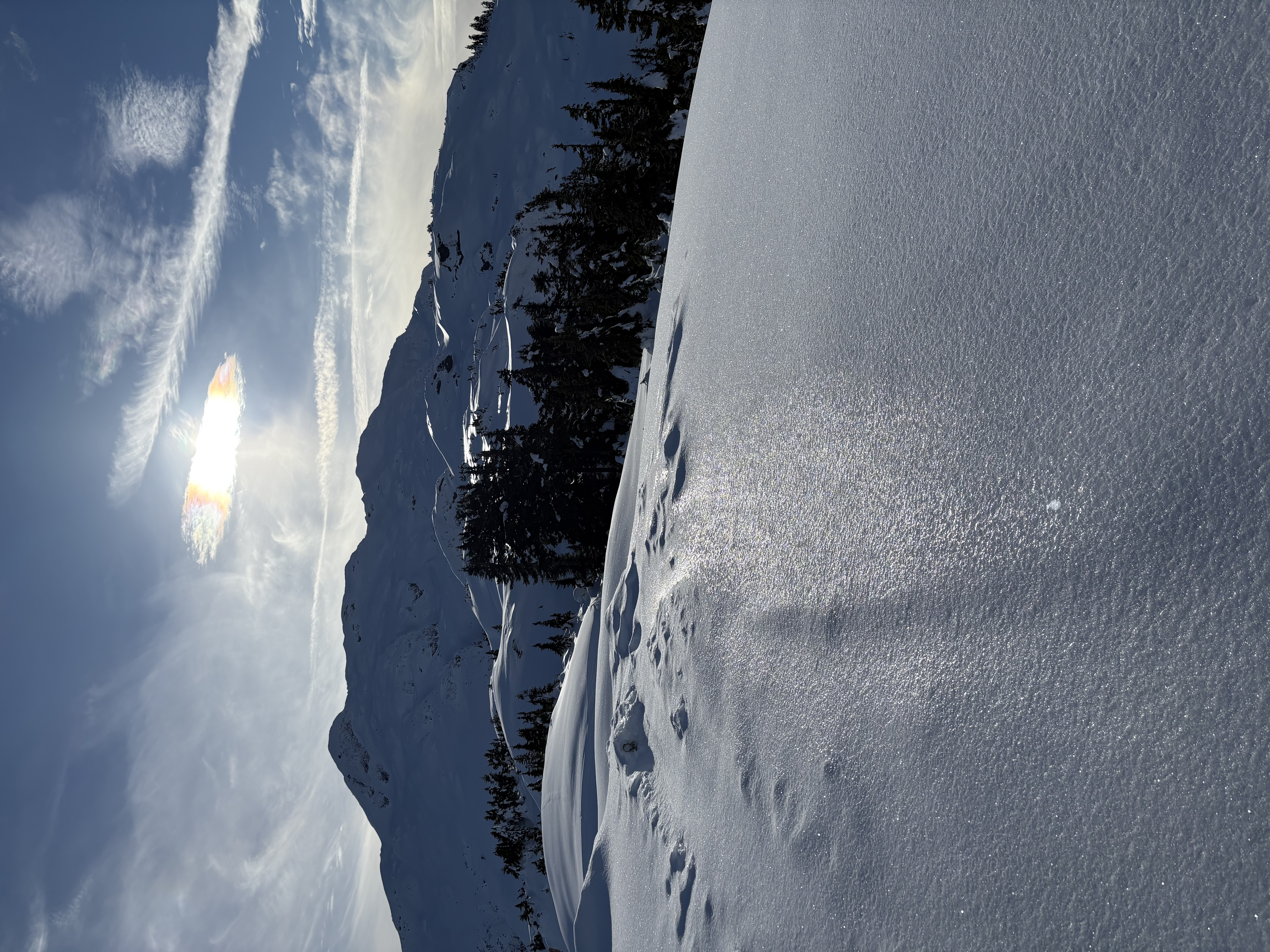 Observation photo