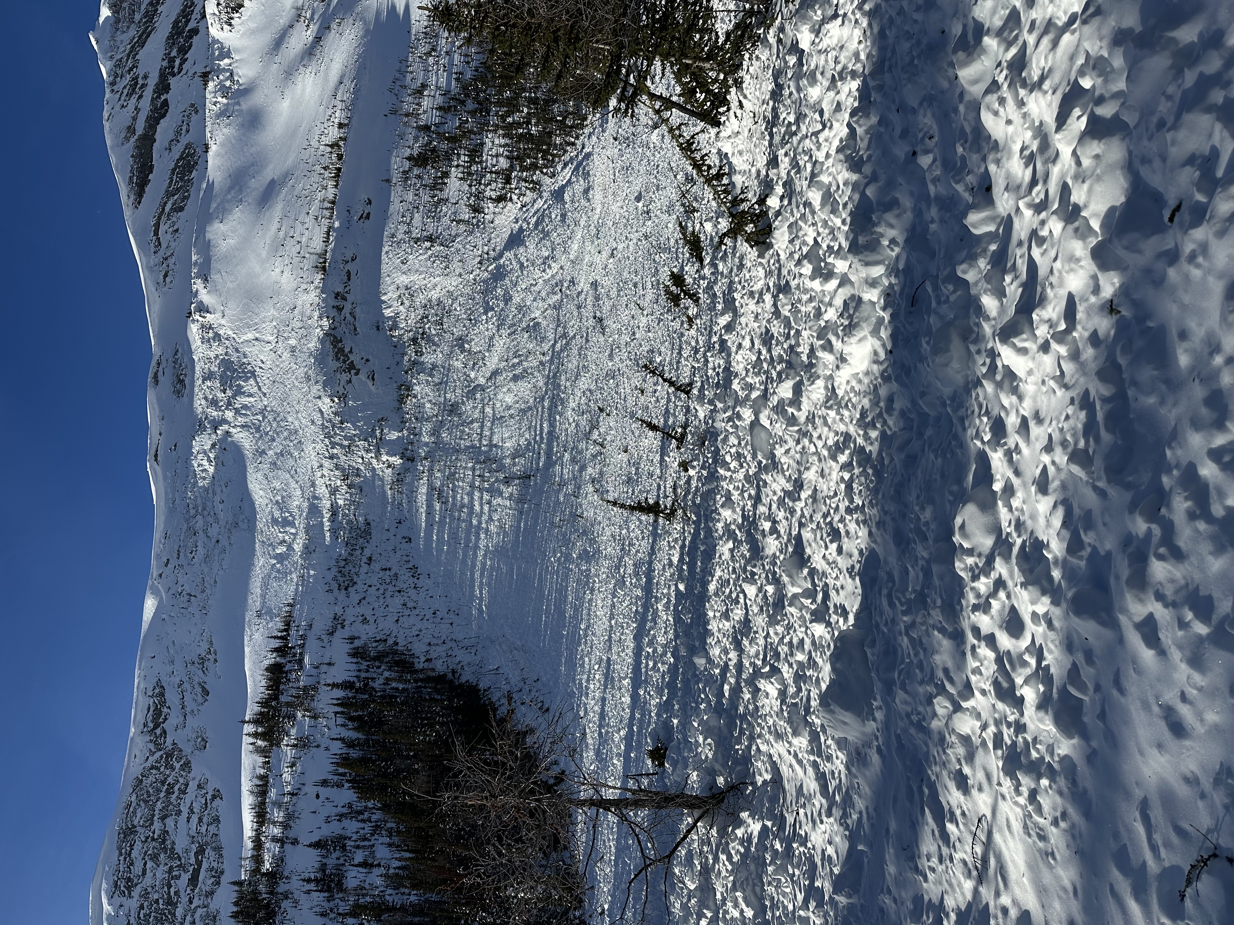 Observation photo