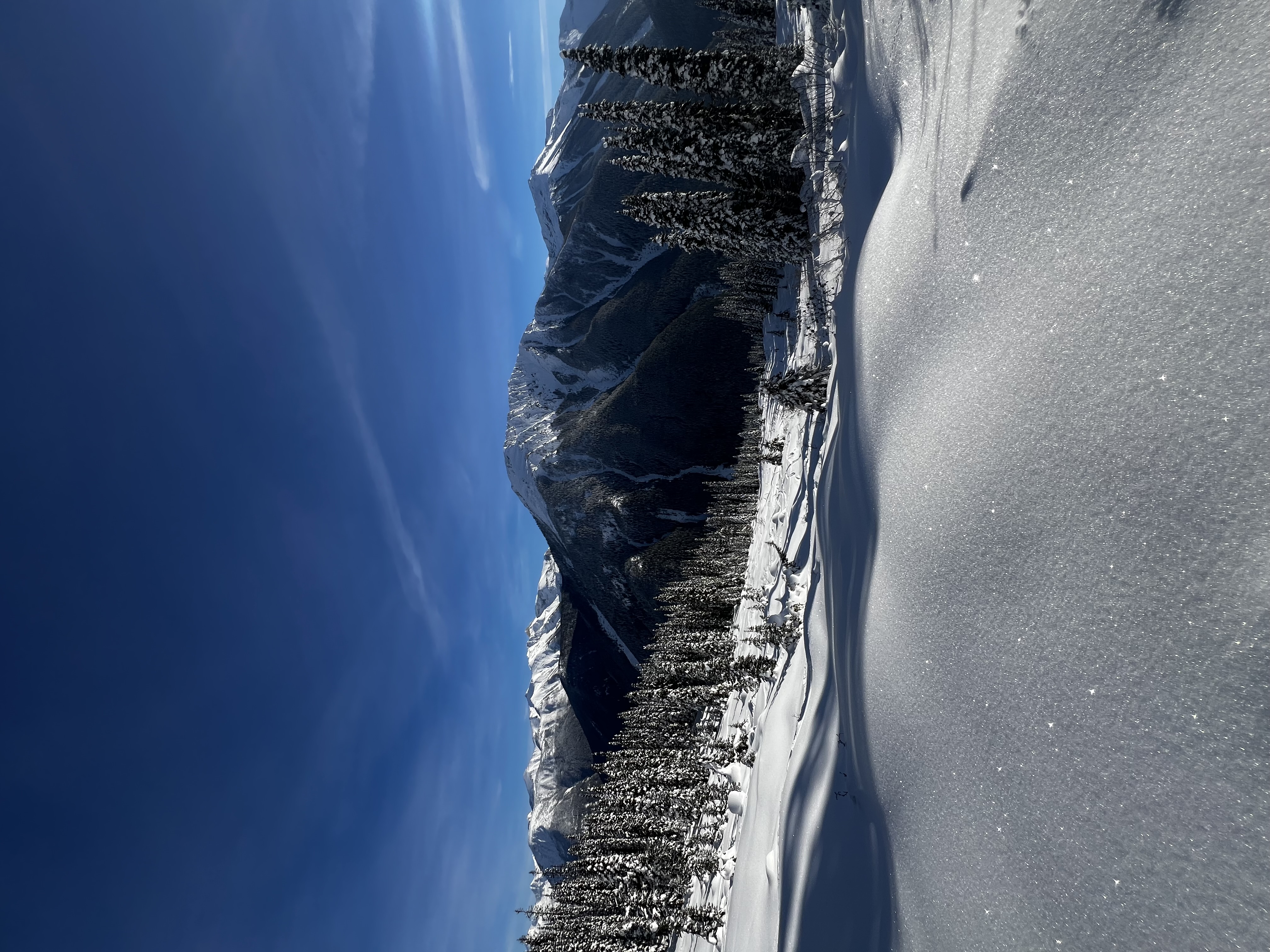 Observation photo