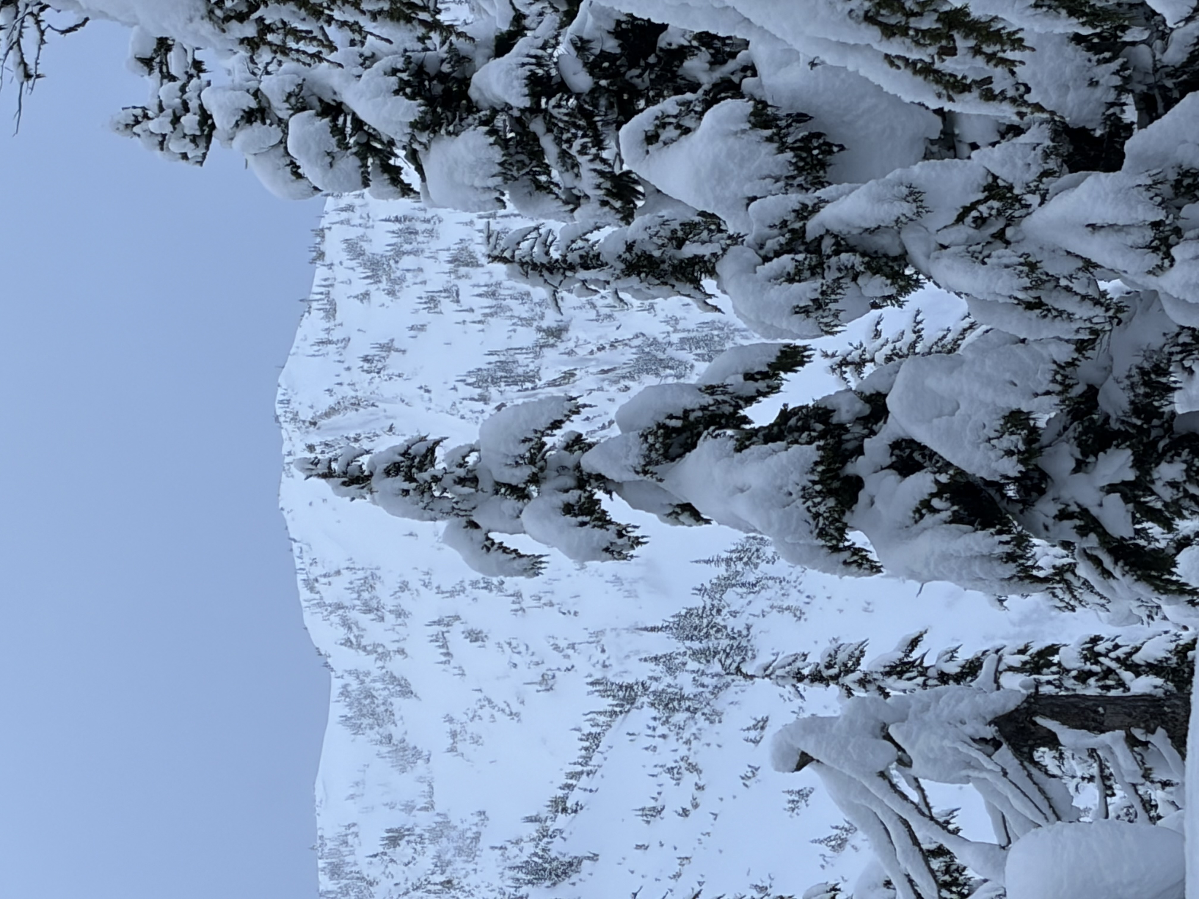 Observation photo