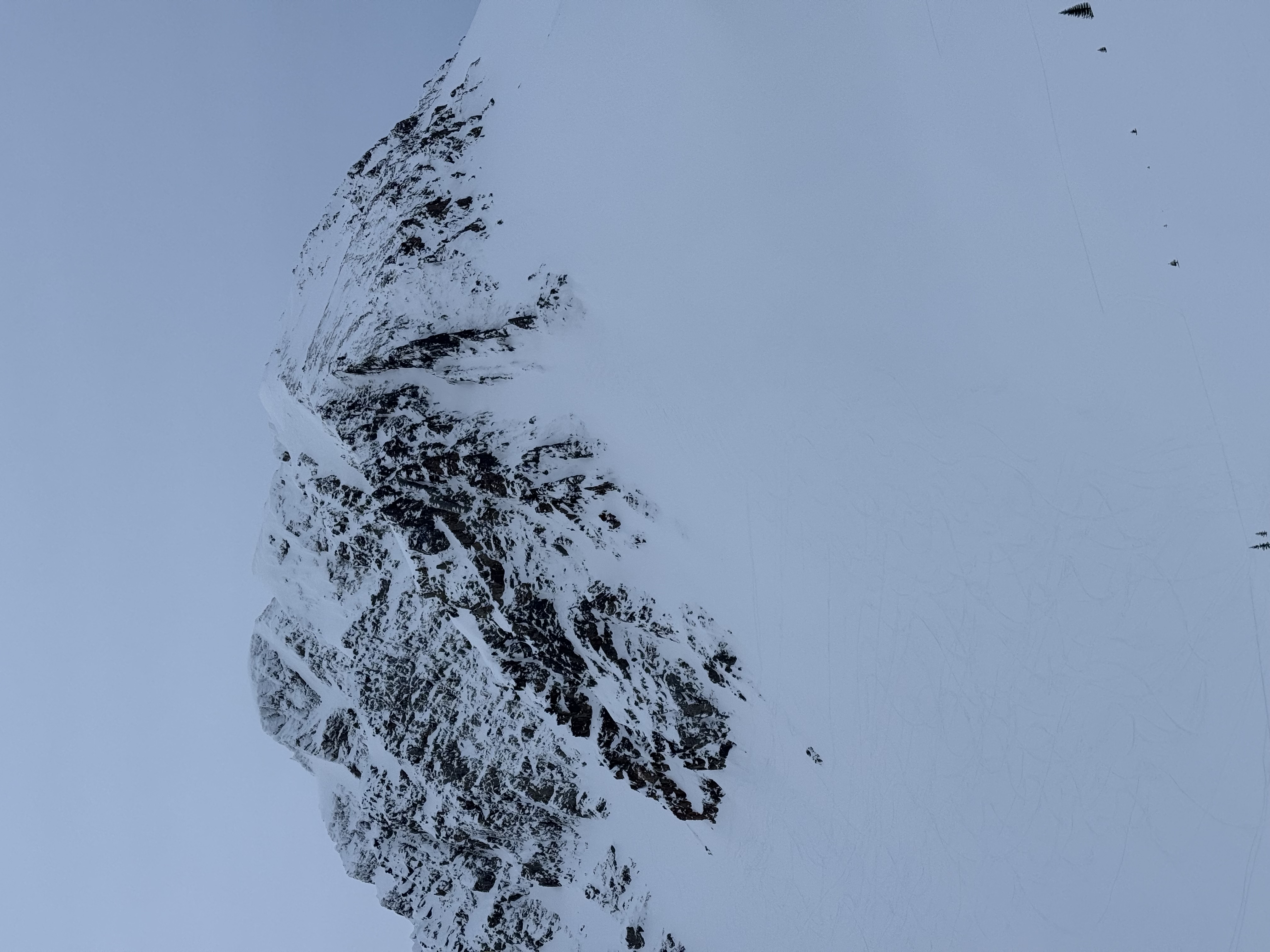 Observation photo