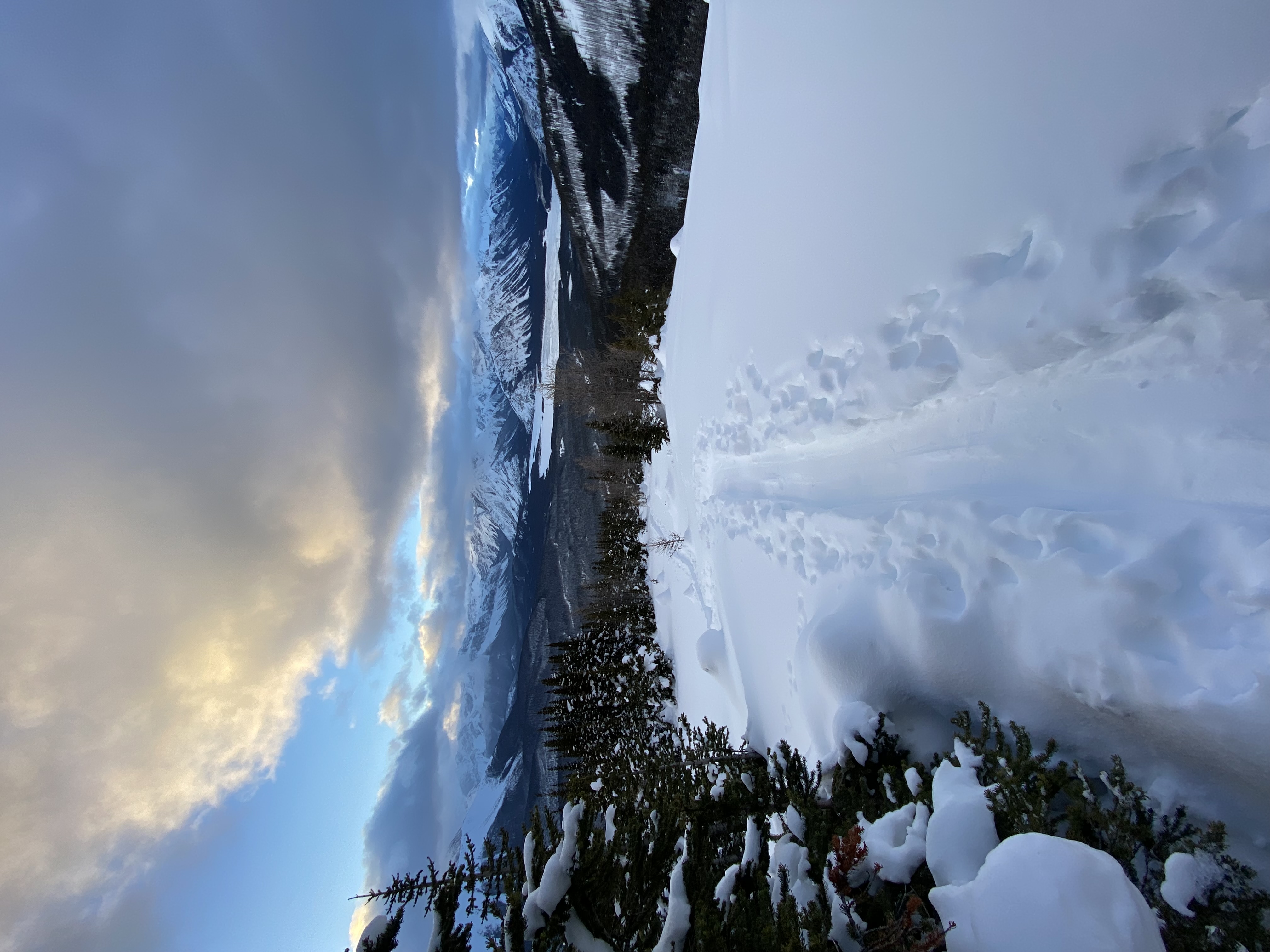 Observation photo