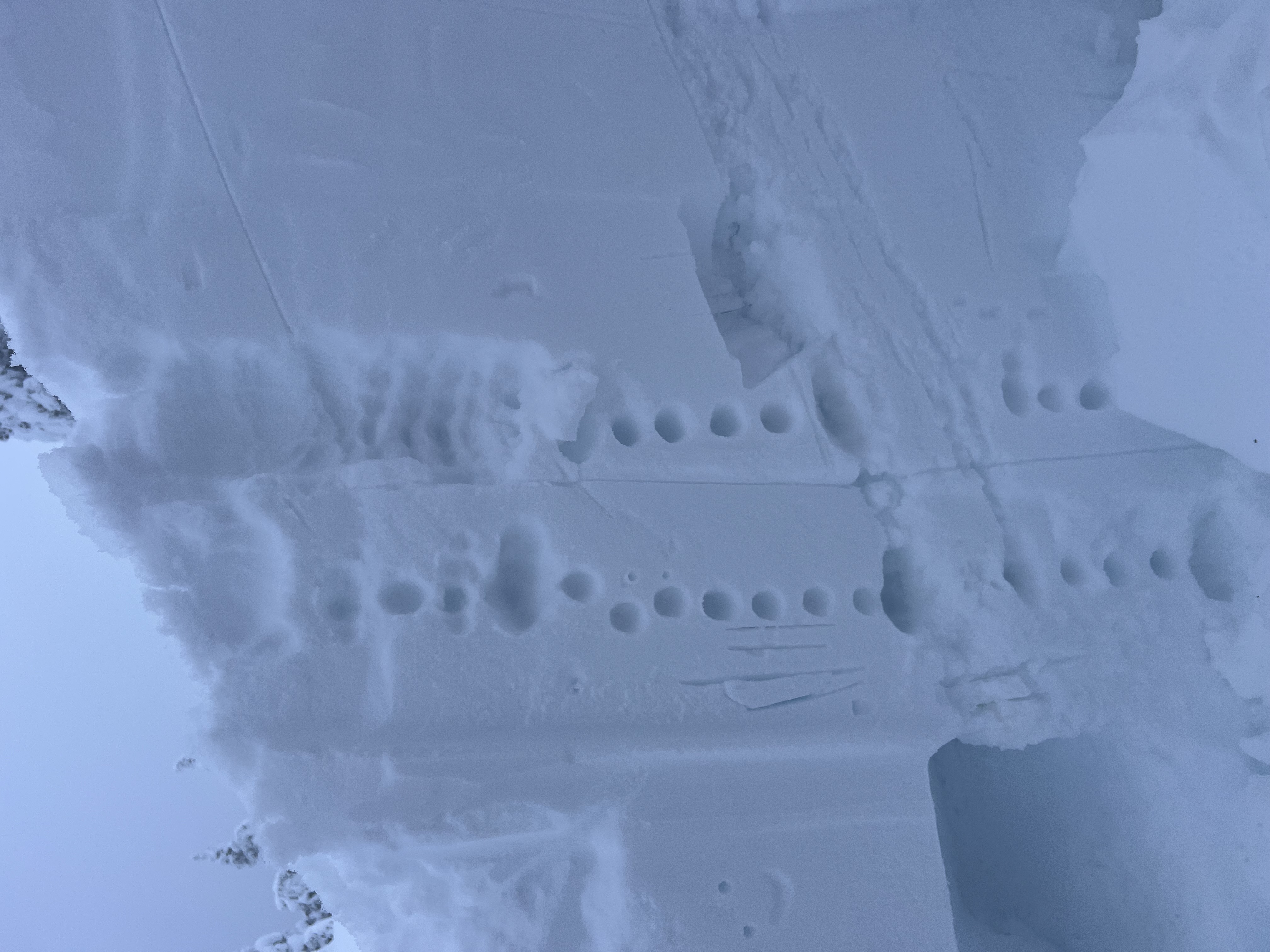 Observation photo