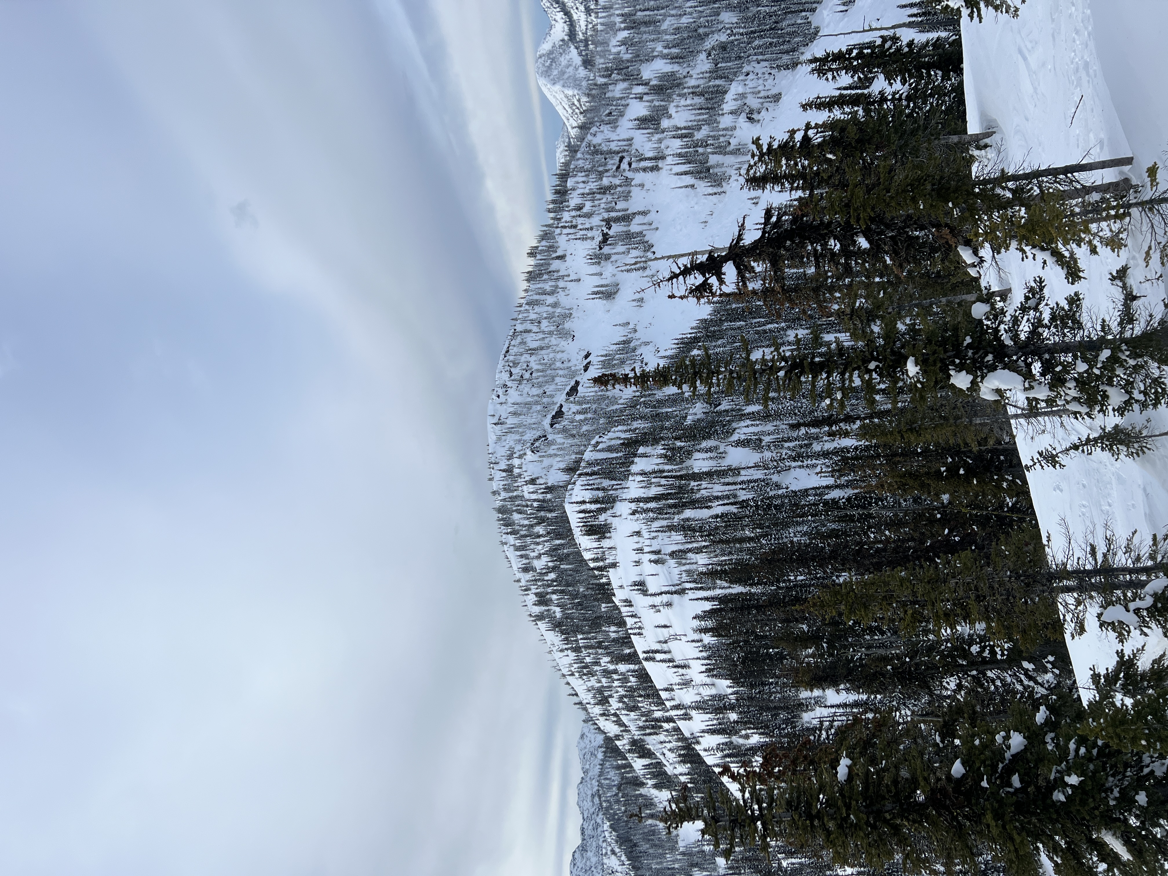 Observation photo