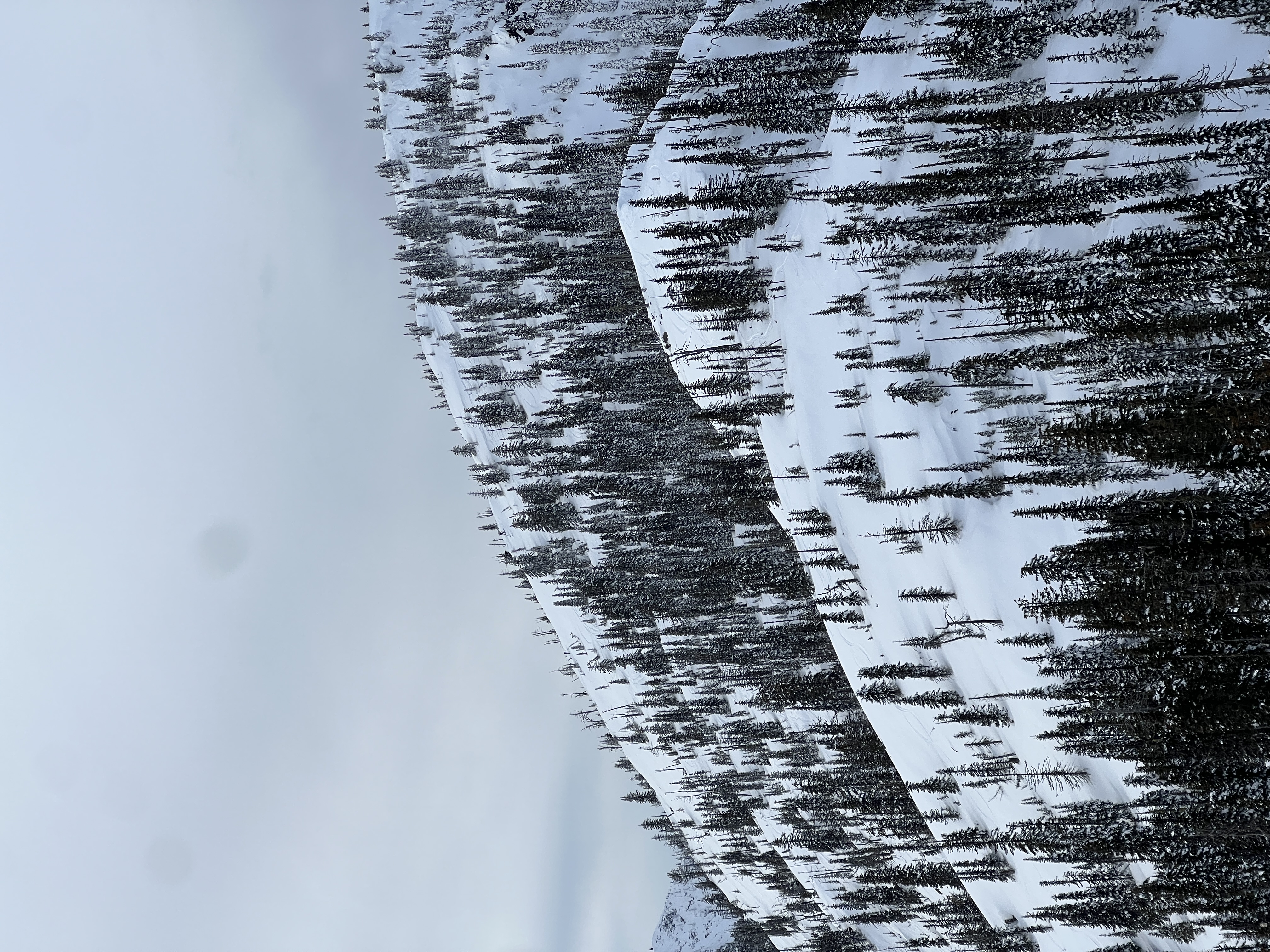 Observation photo