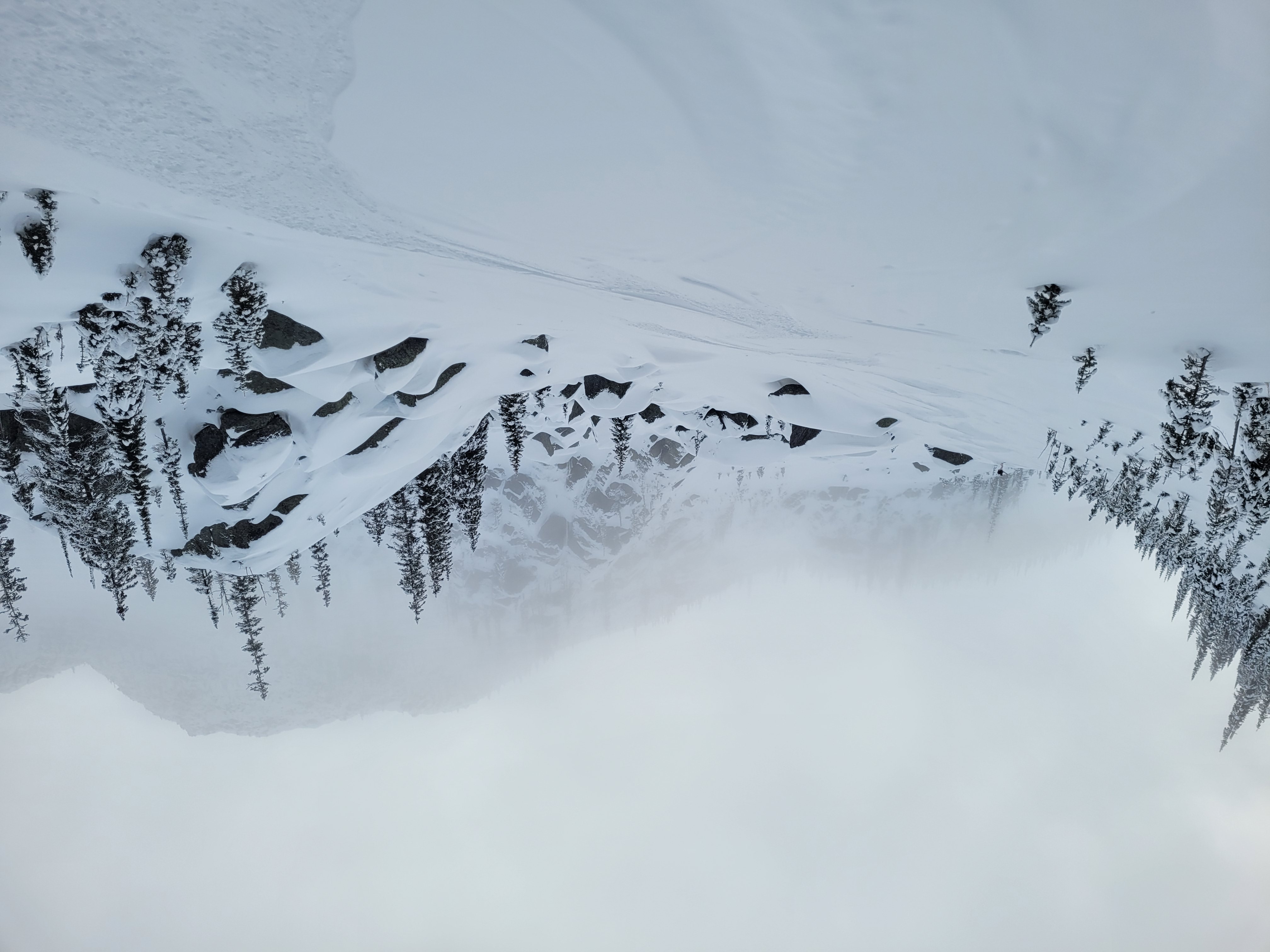 Observation photo