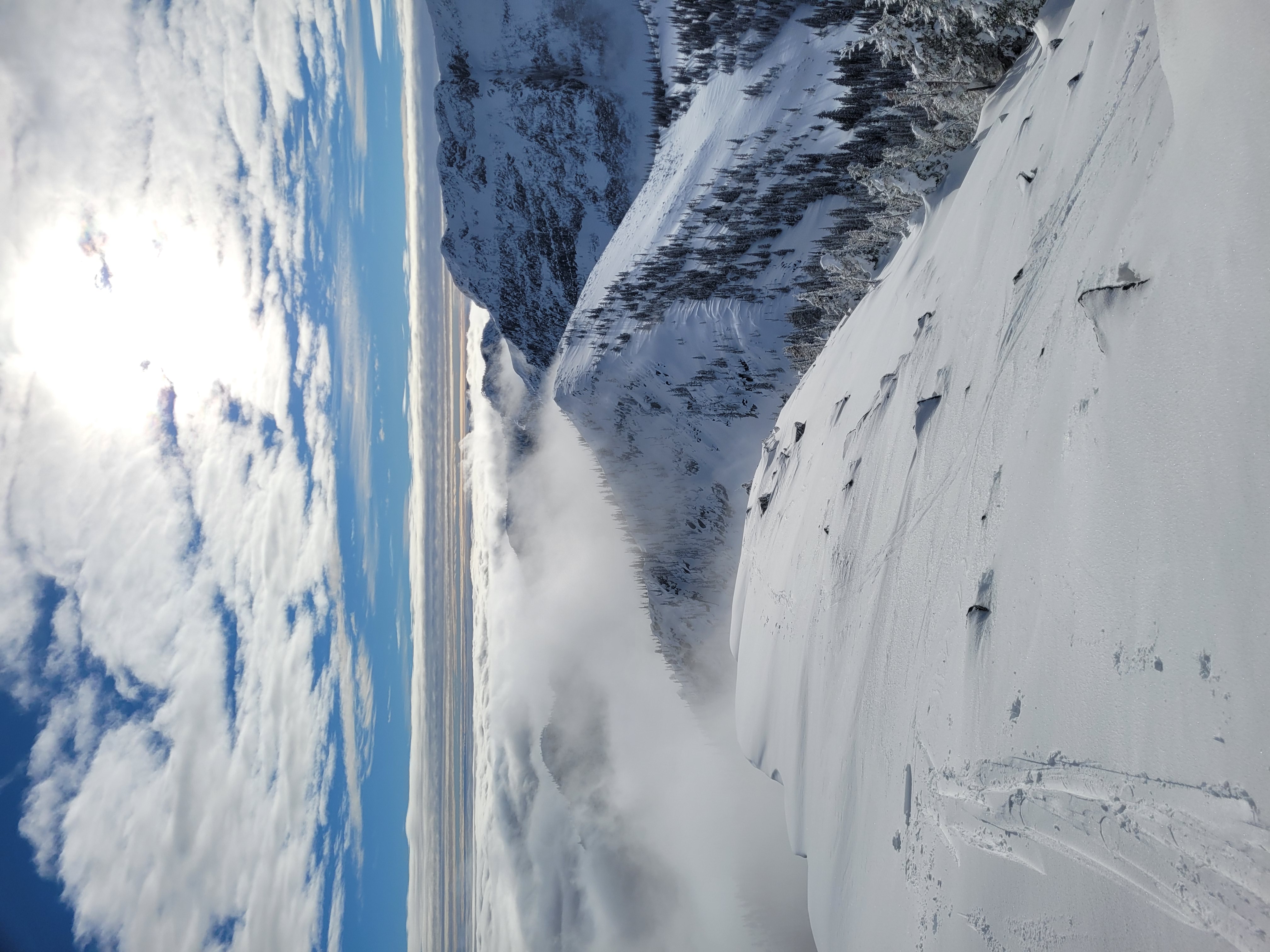 Observation photo