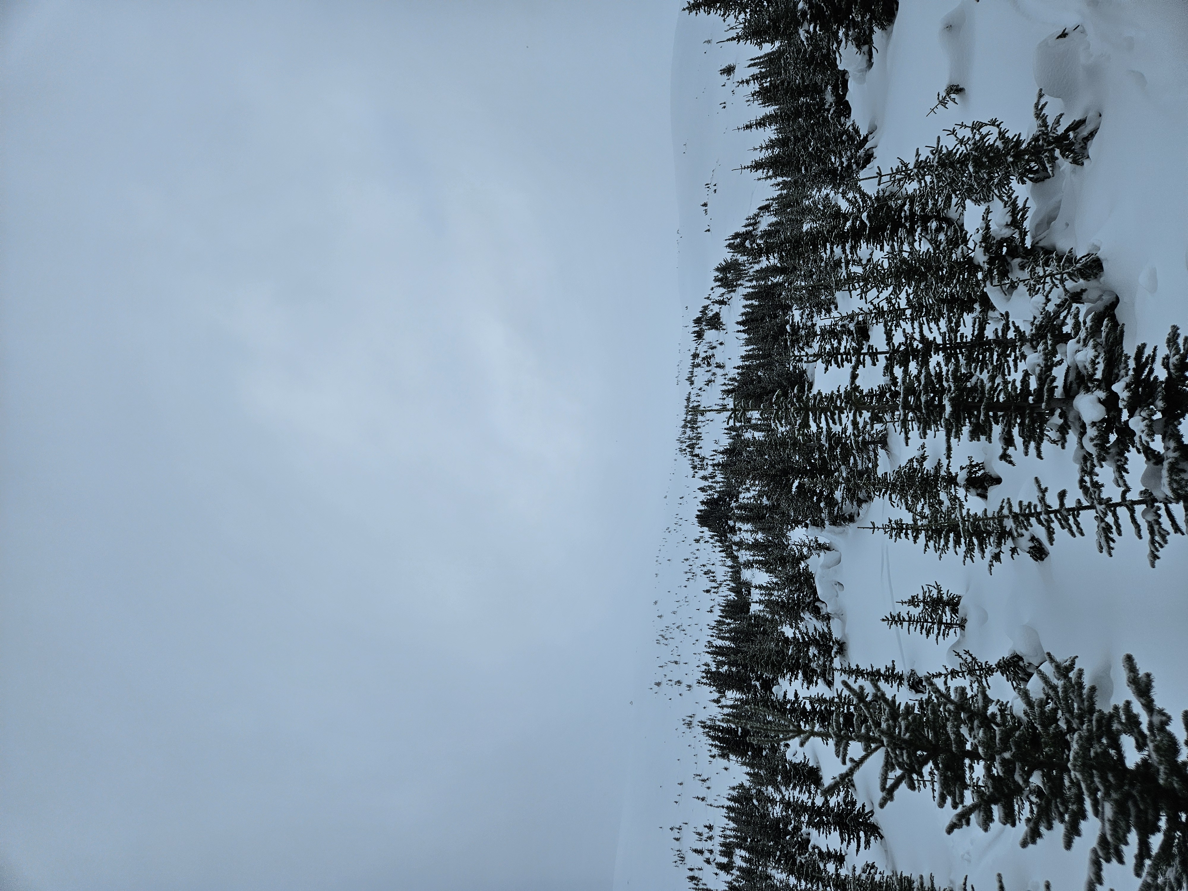Observation photo