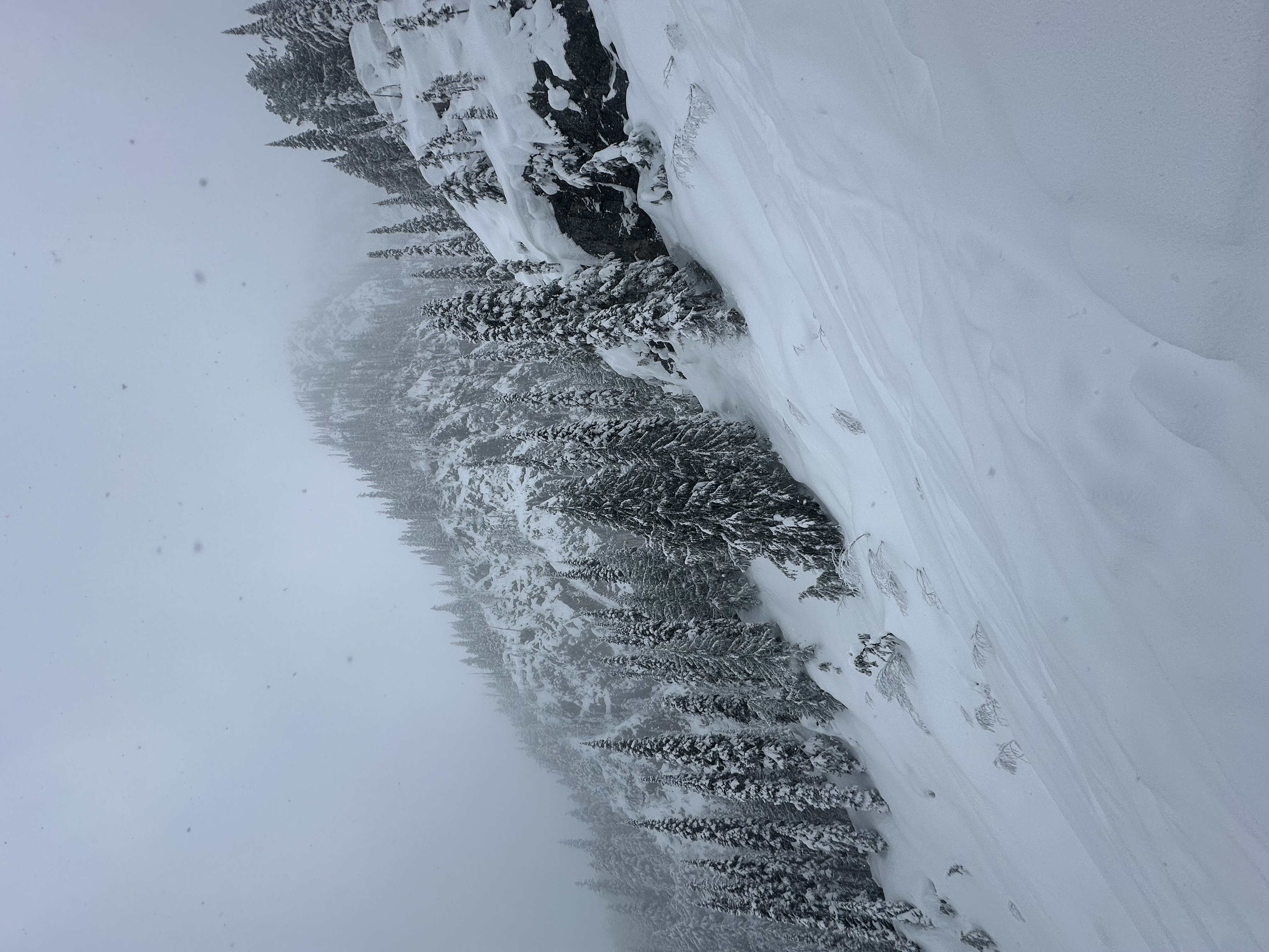 Observation photo