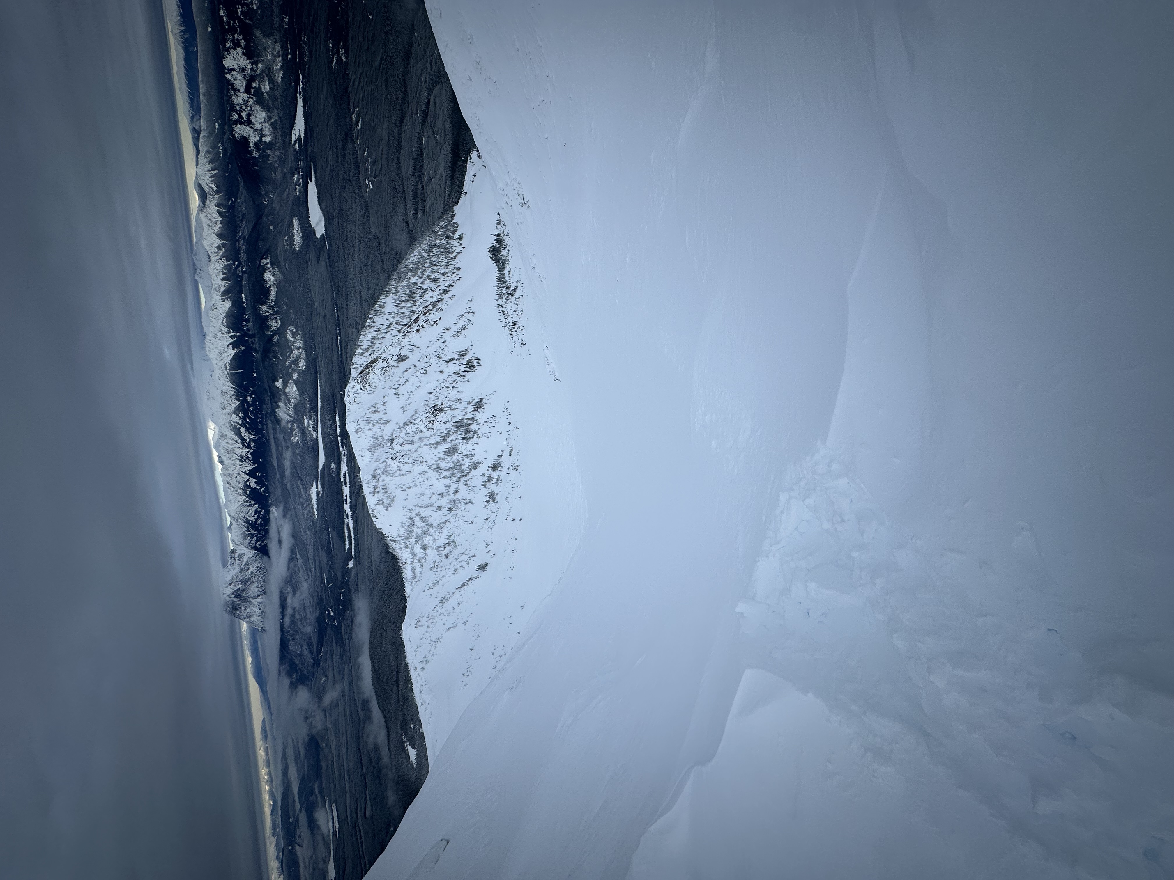 Observation photo