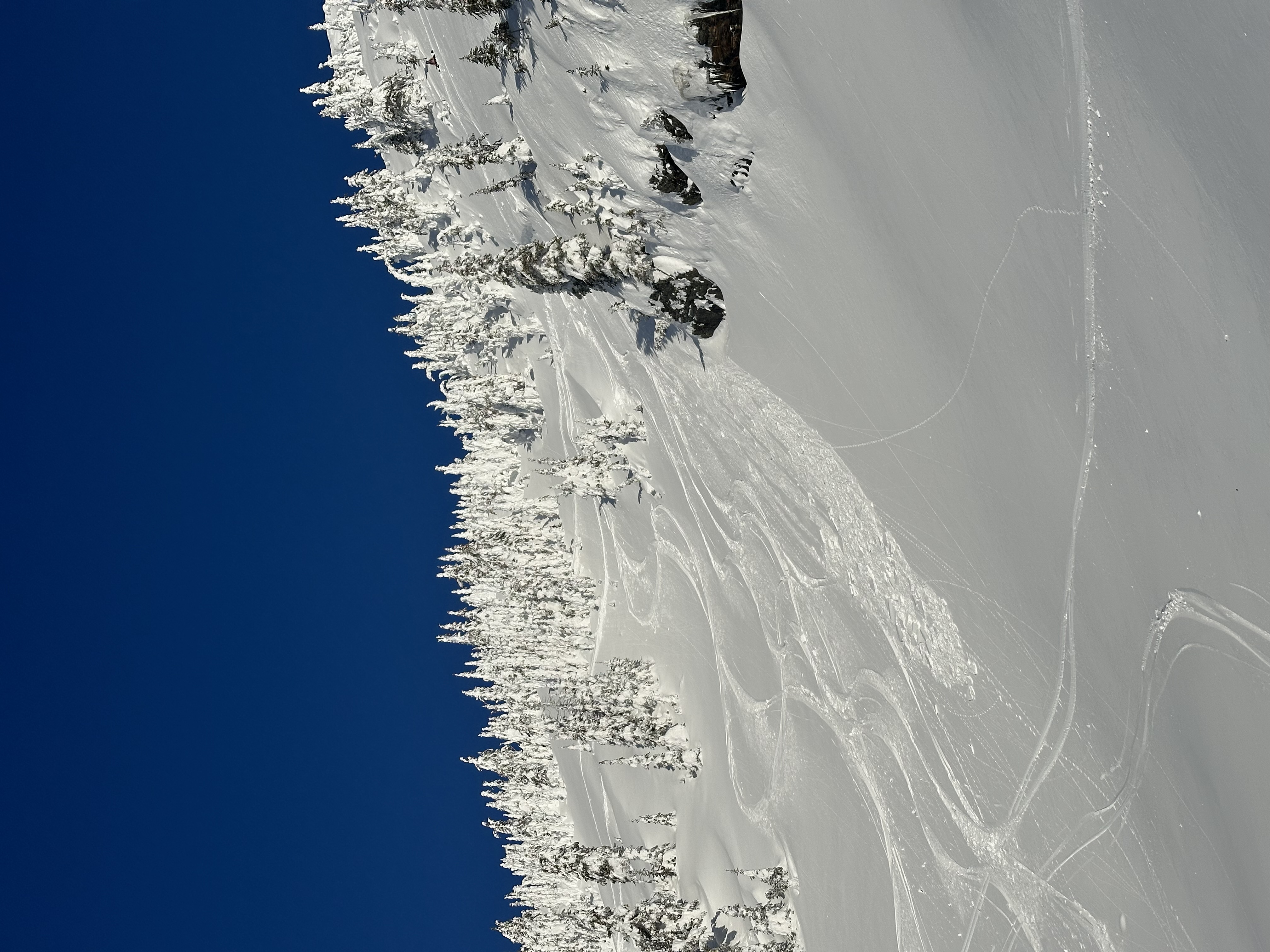 Observation photo