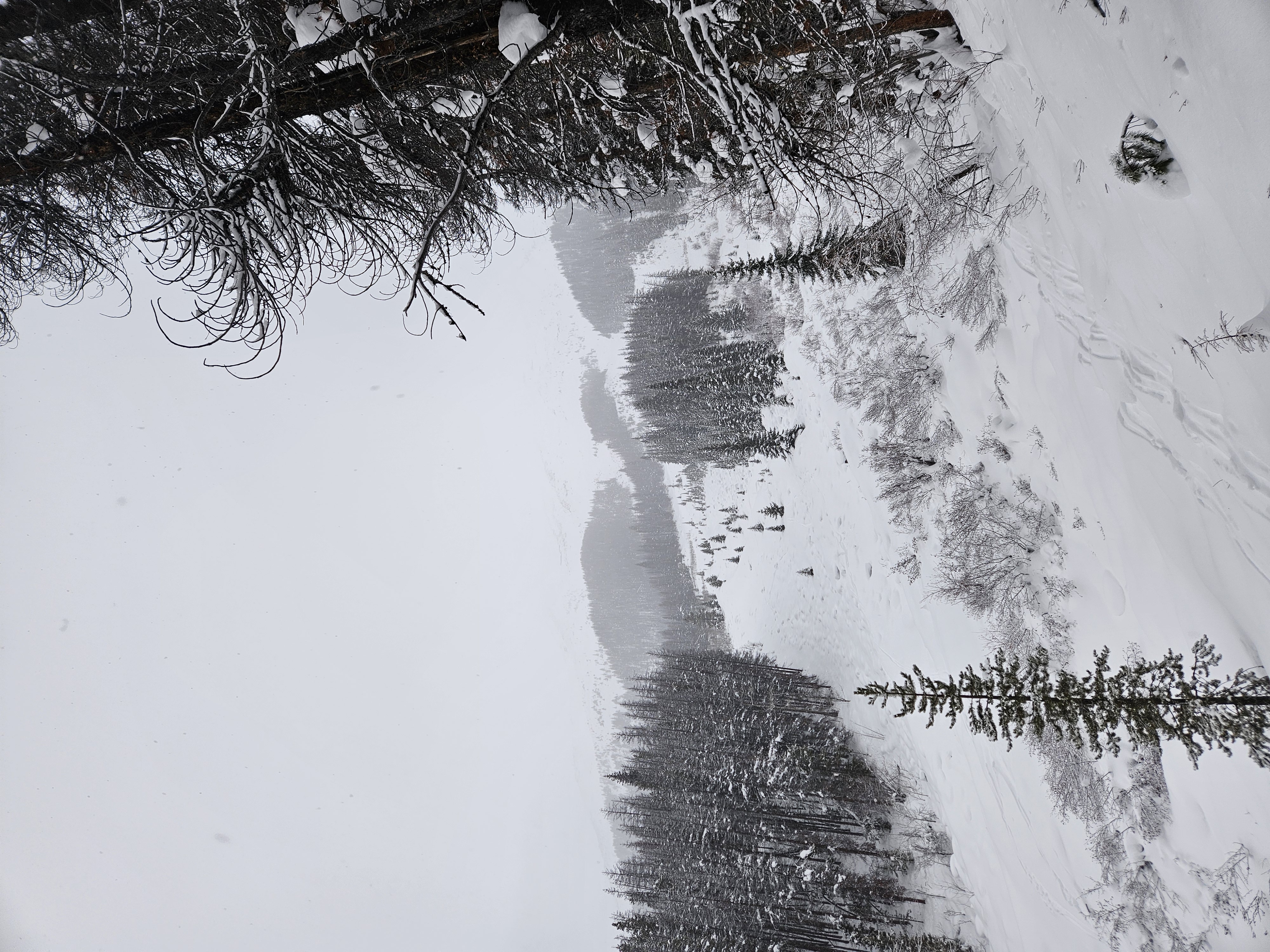 Observation photo