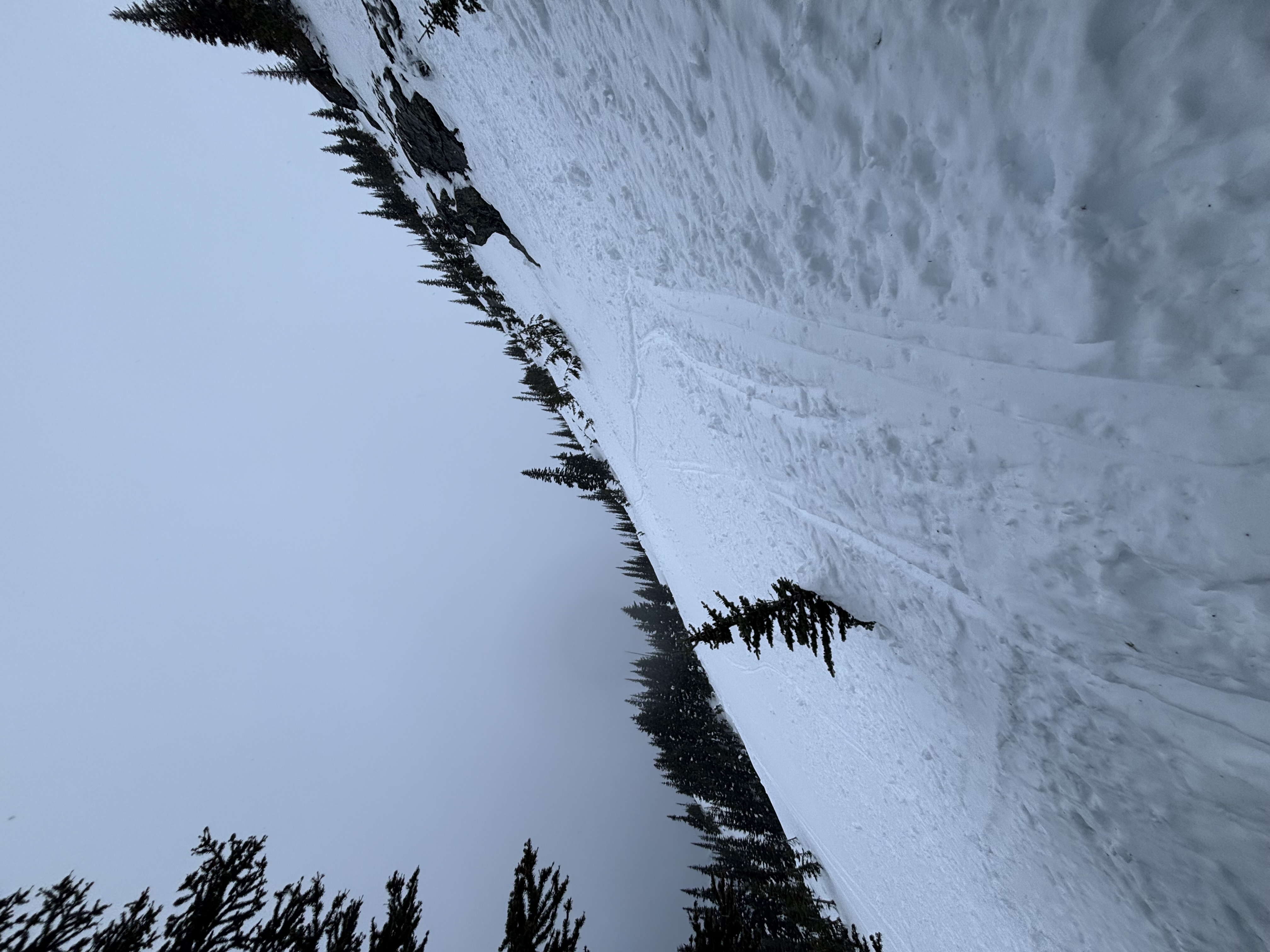 Observation photo