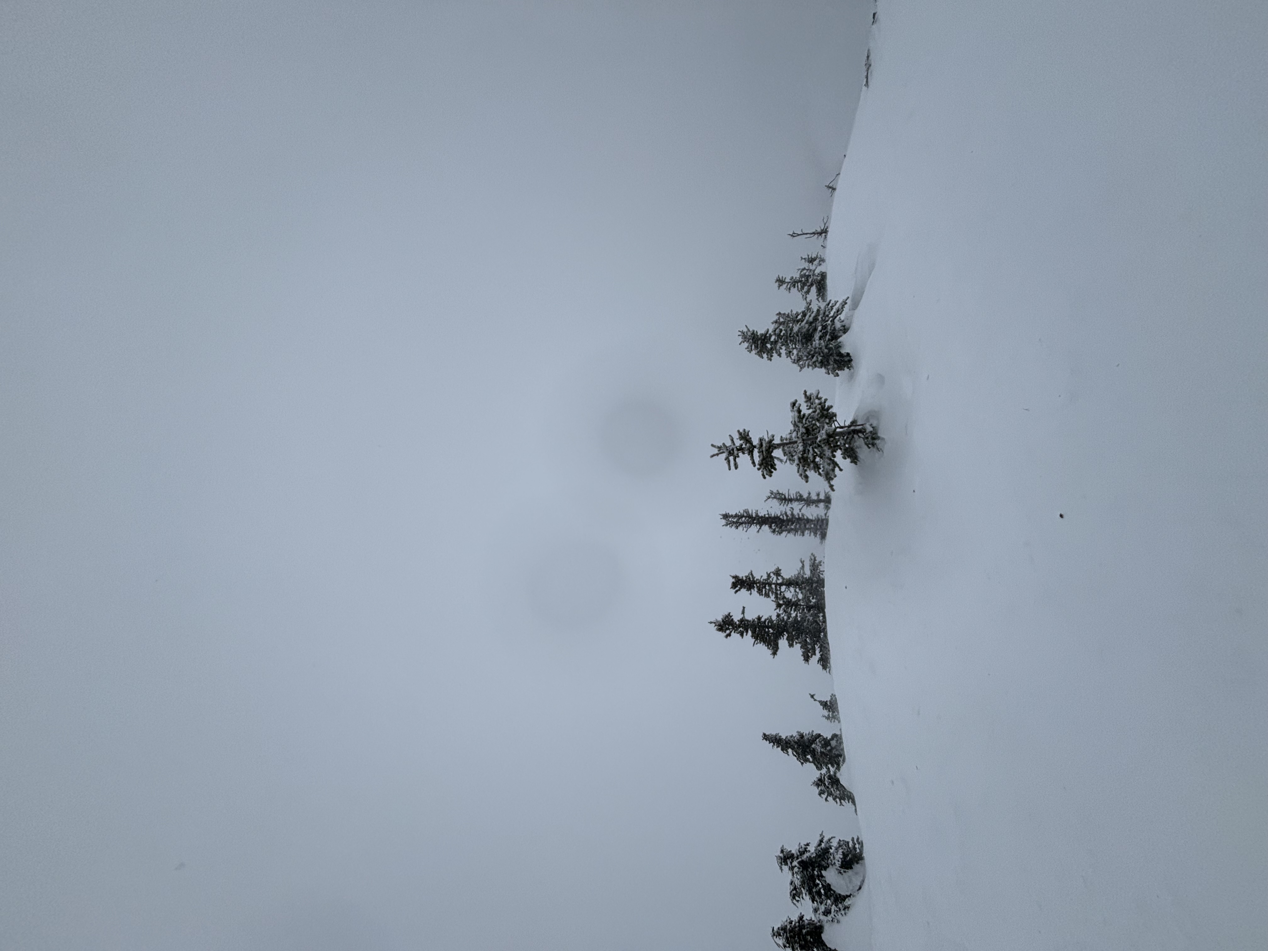Observation photo