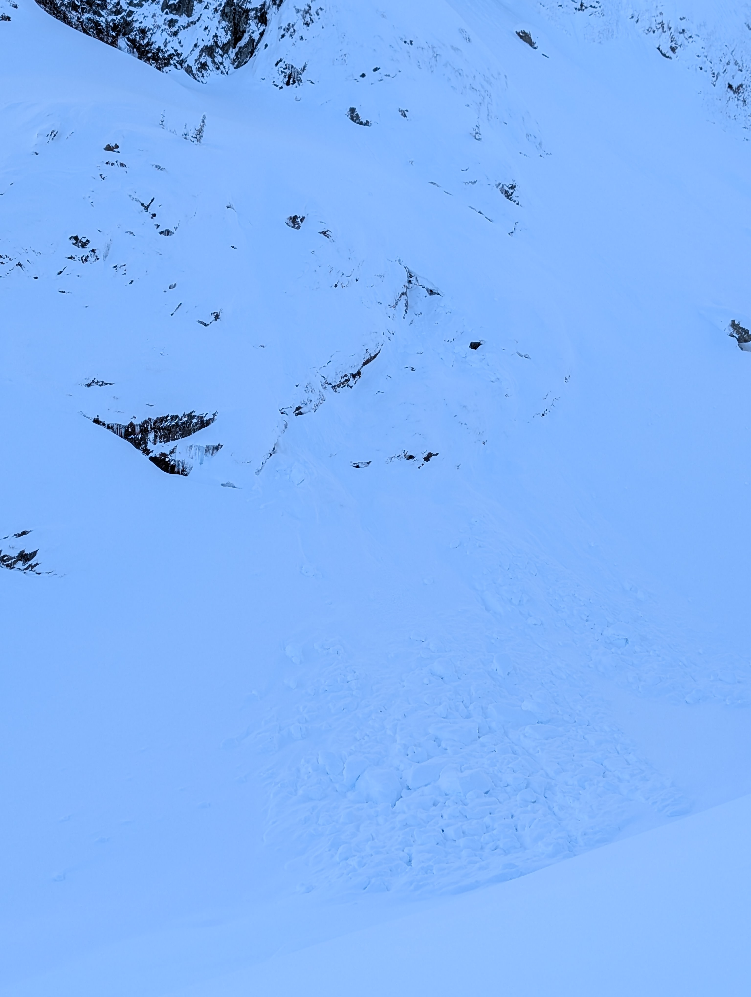 Observation photo
