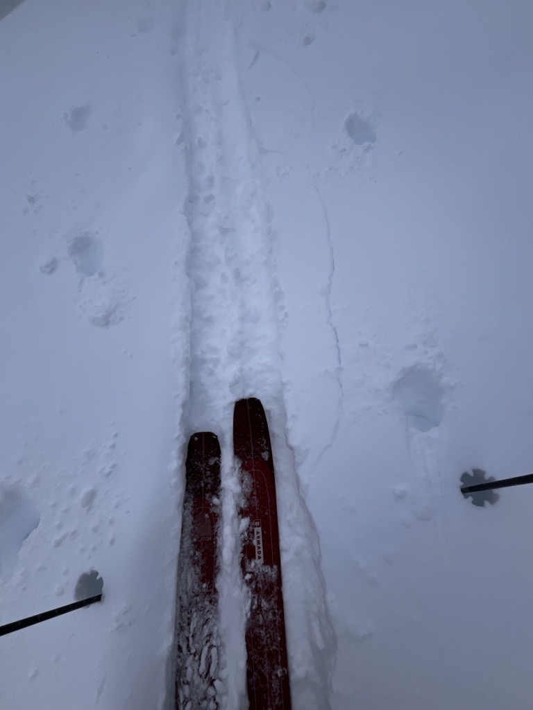 Observation photo