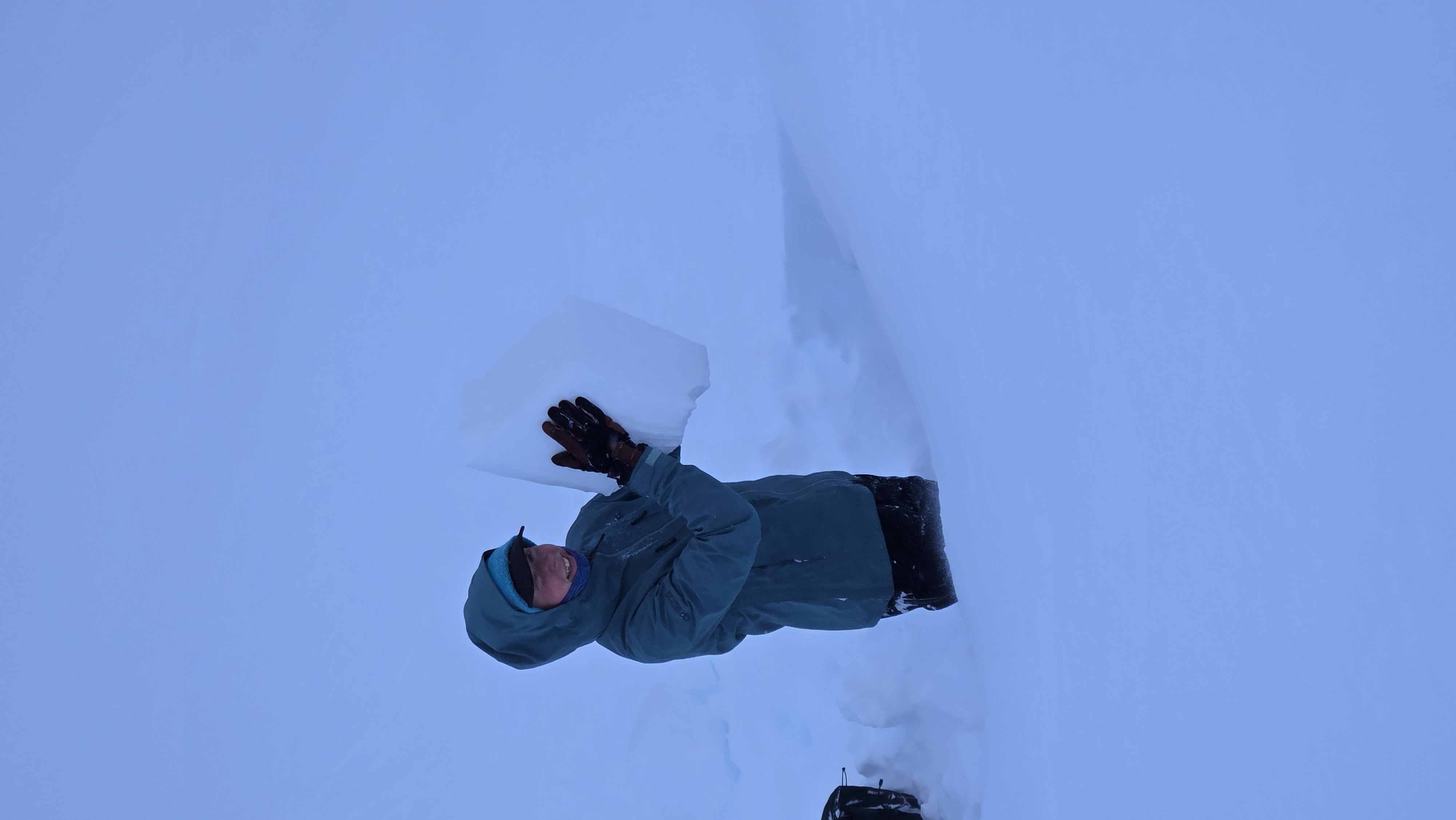 Observation photo