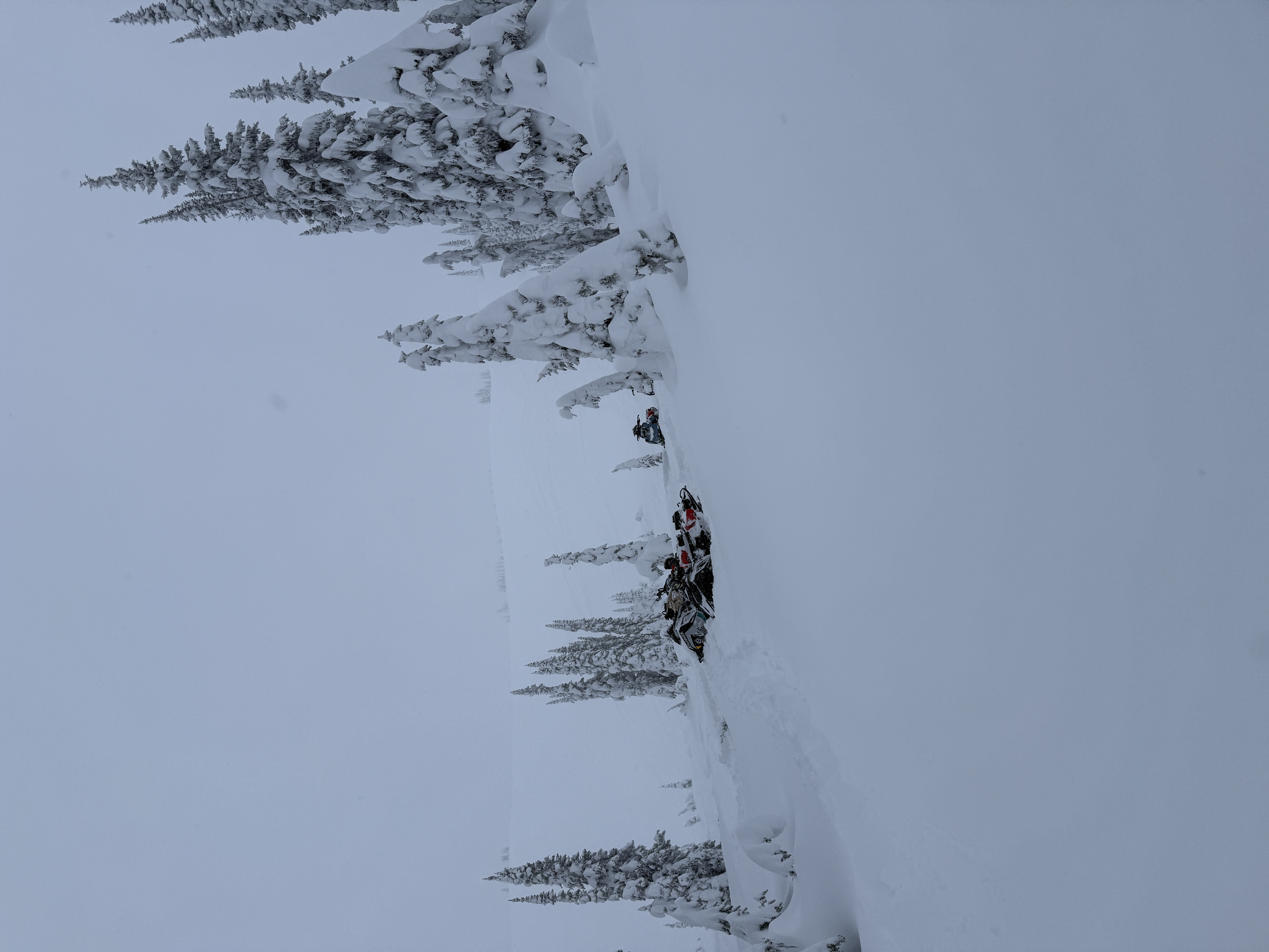 Observation photo