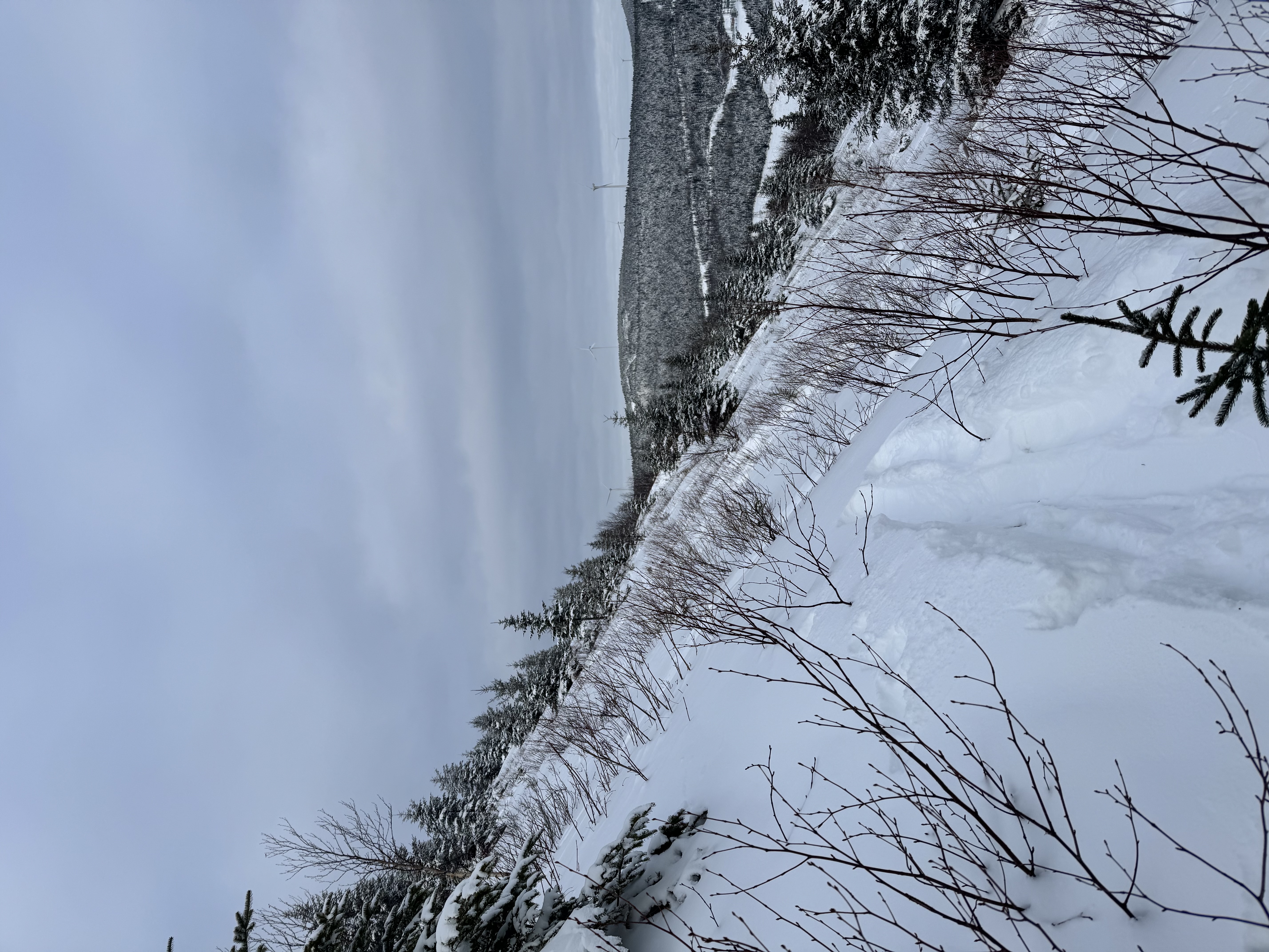 Observation photo