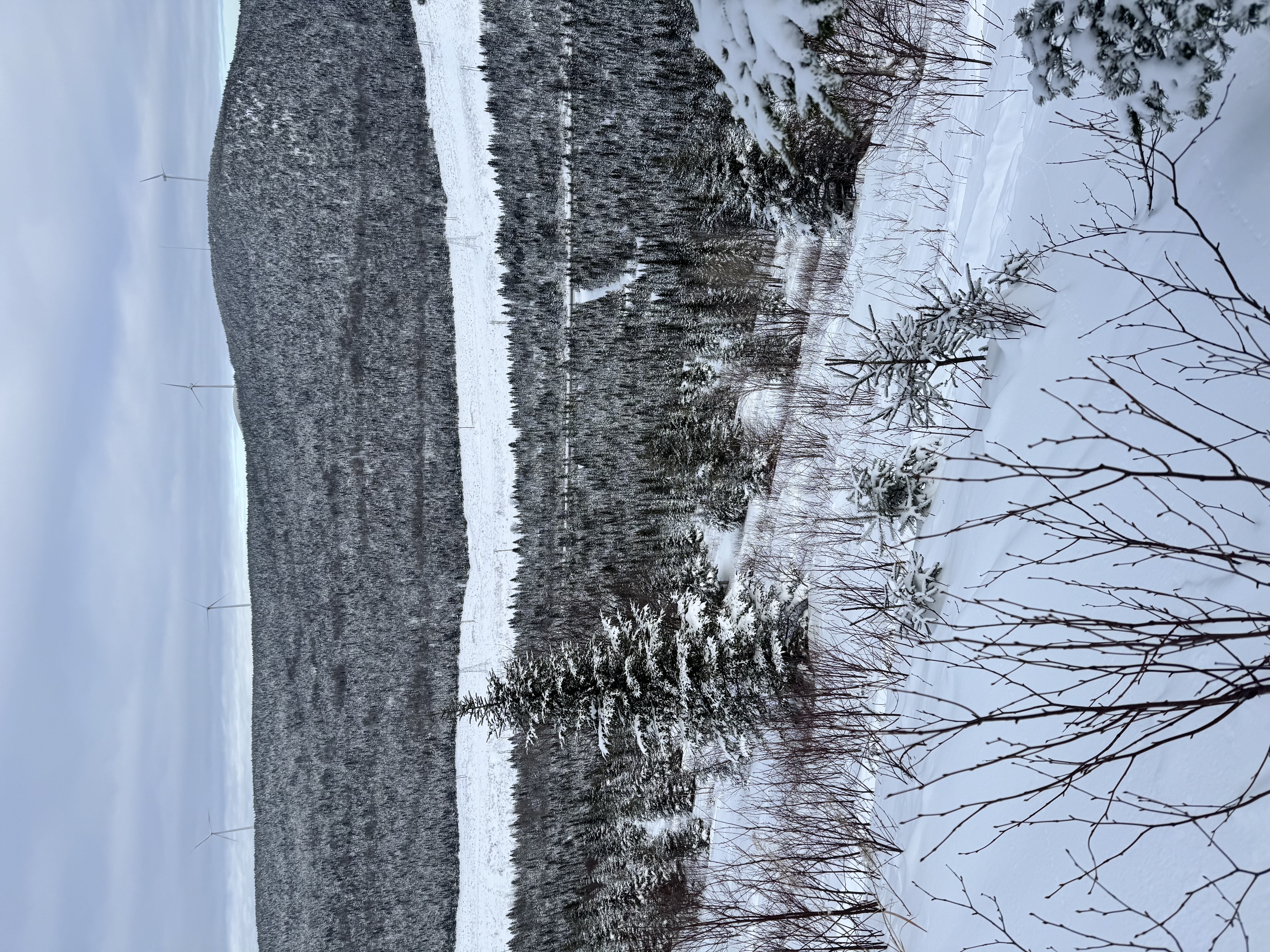 Observation photo