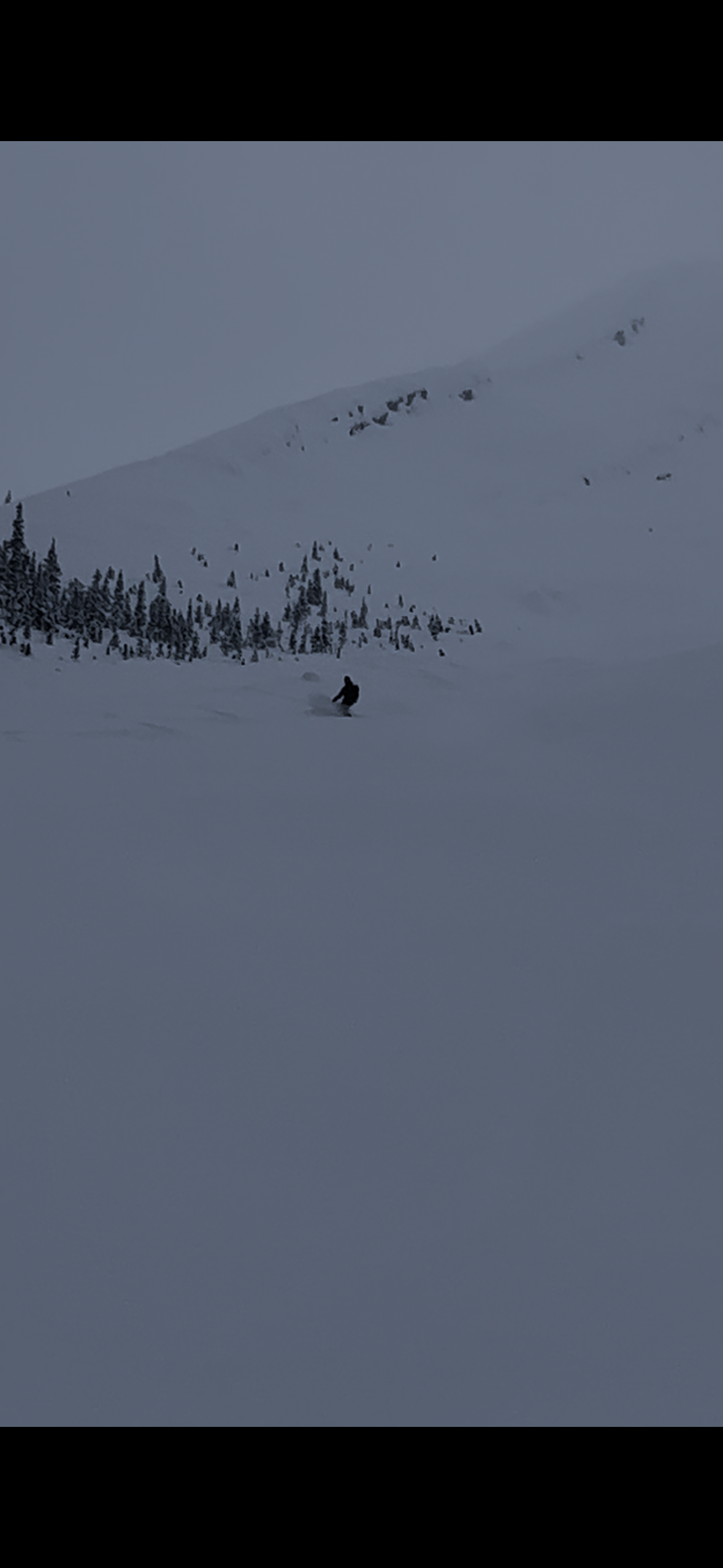Observation photo