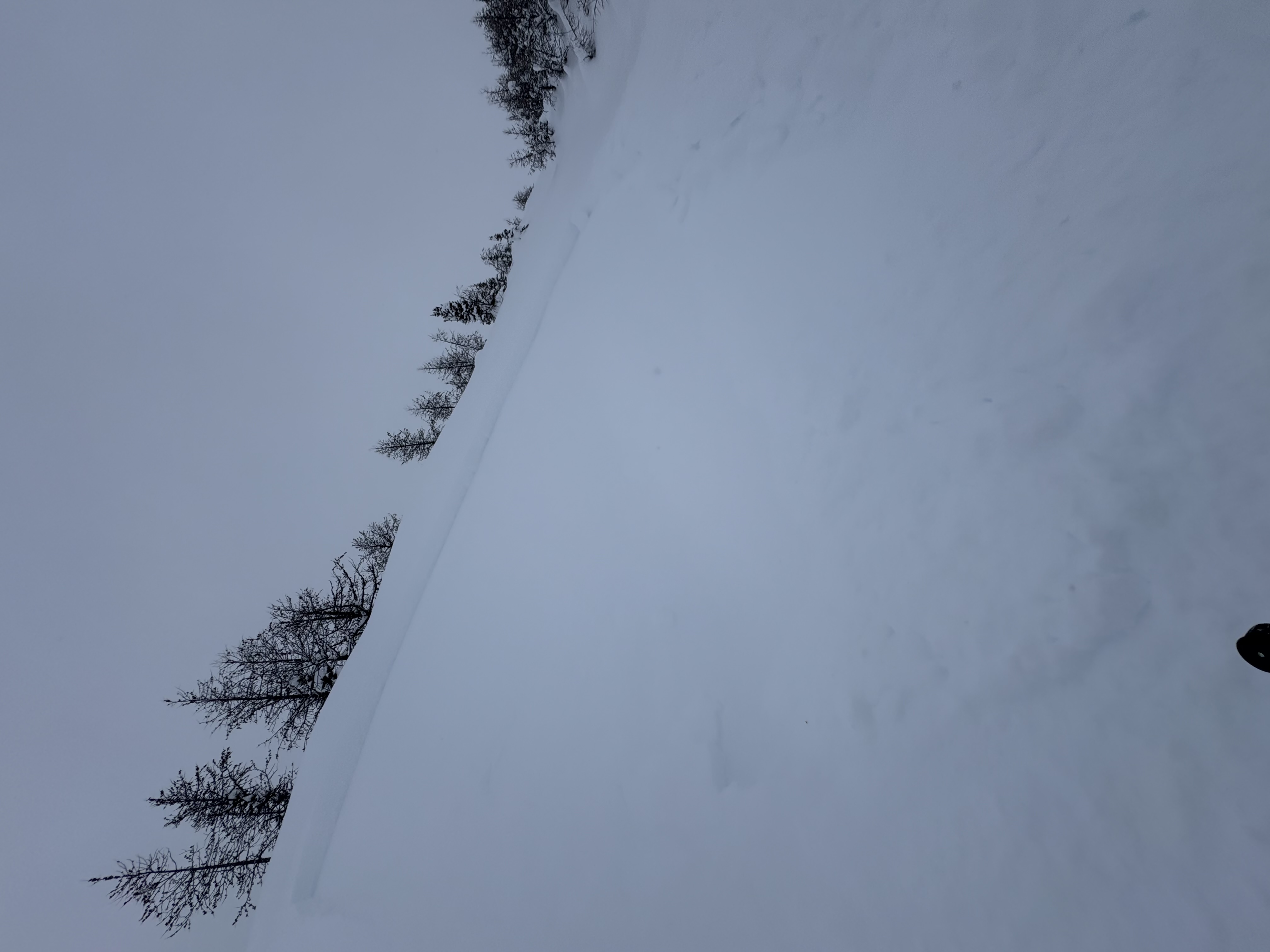 Observation photo