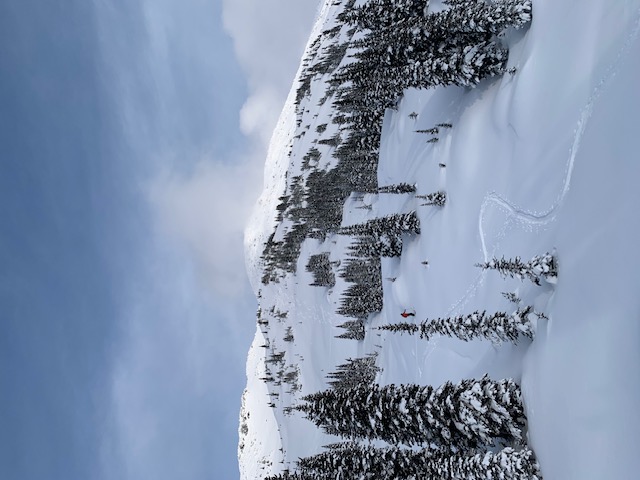 Observation photo