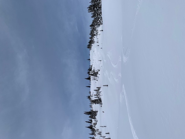 Observation photo