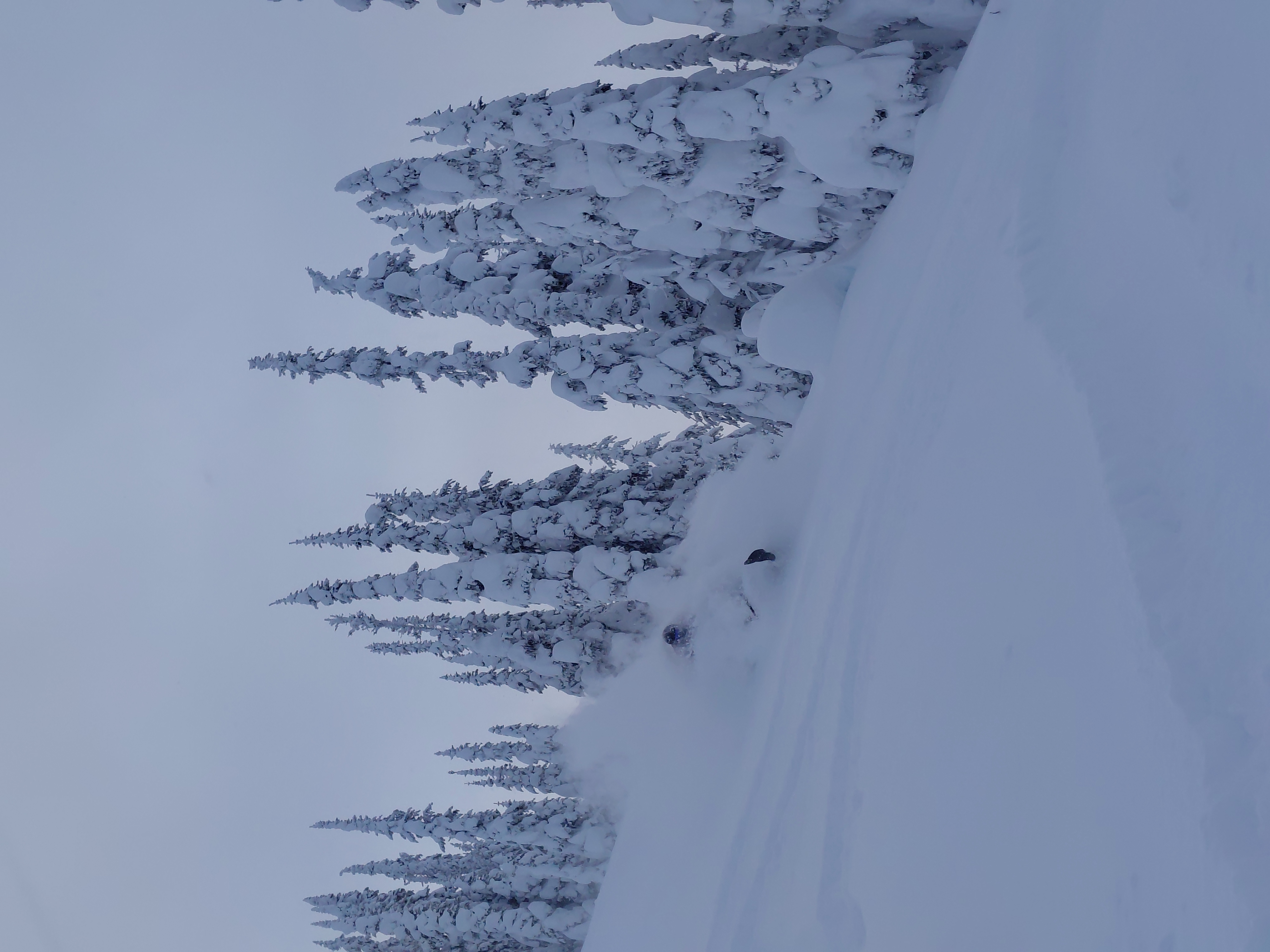 Observation photo